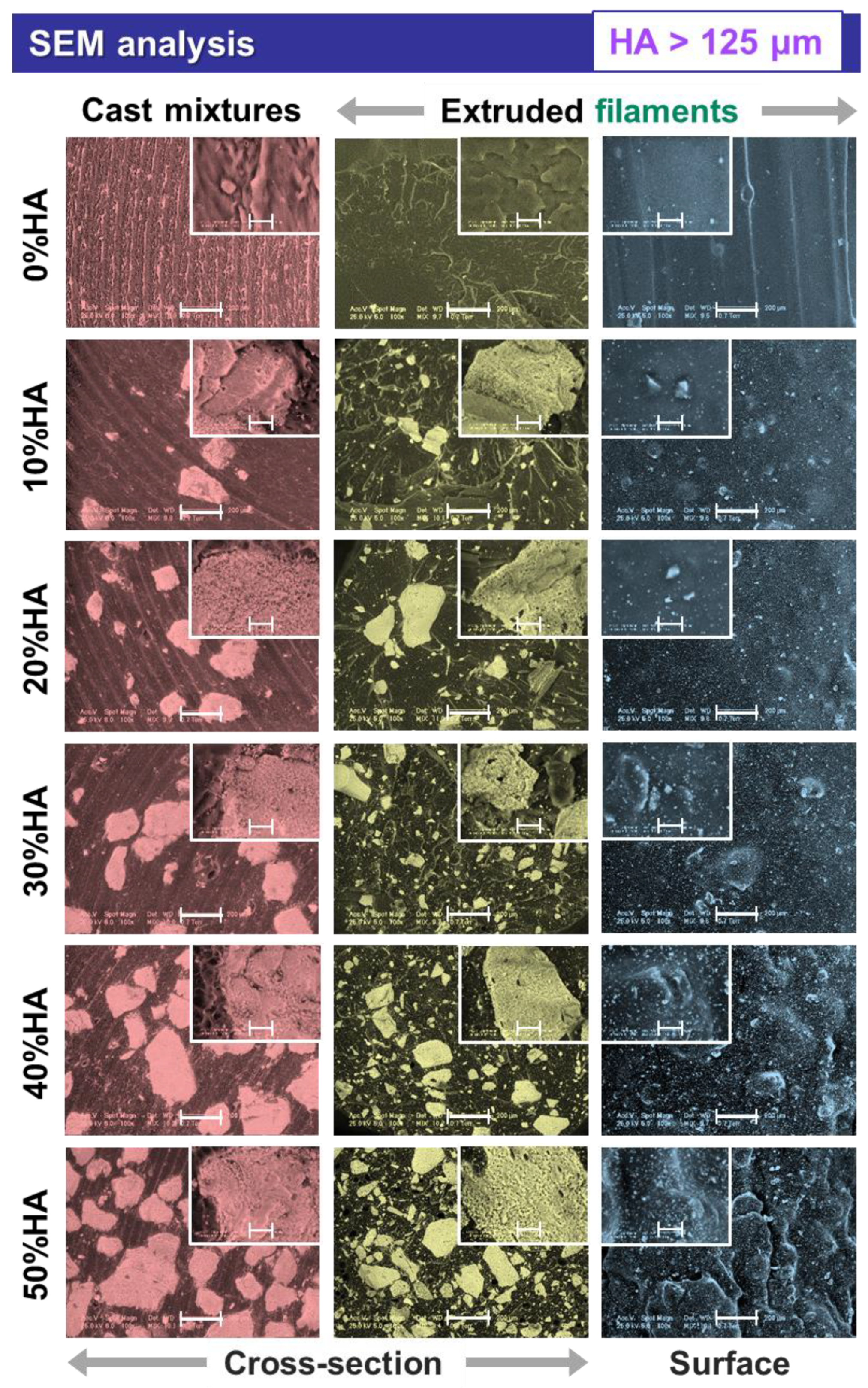 Jfb 13 00199 g004 Jfb 13 00199 g004