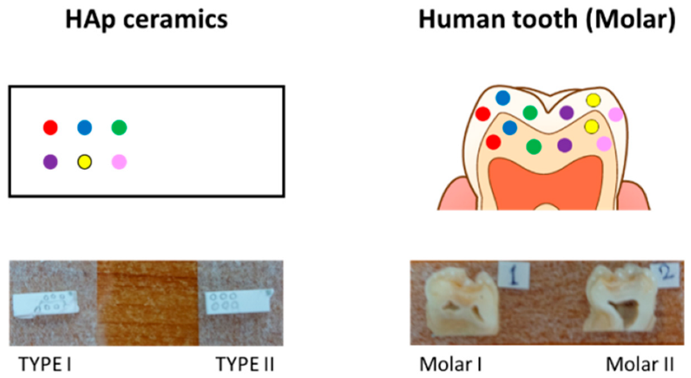 Jfb 13 00200 g001 Jfb 13 00200 g001