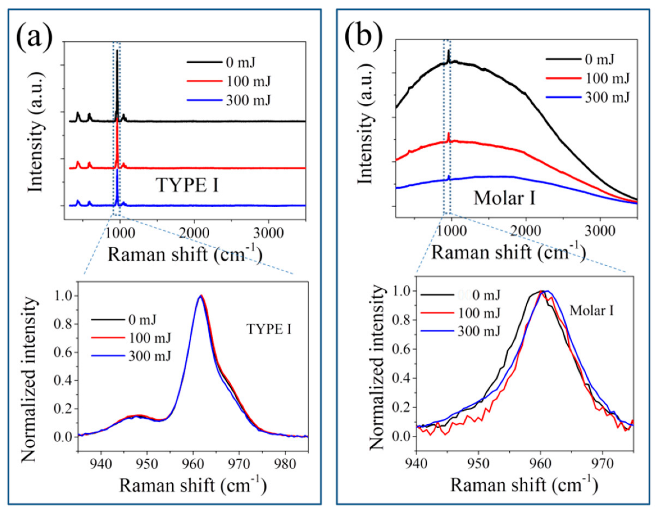 Jfb 13 00200 g004 Jfb 13 00200 g004