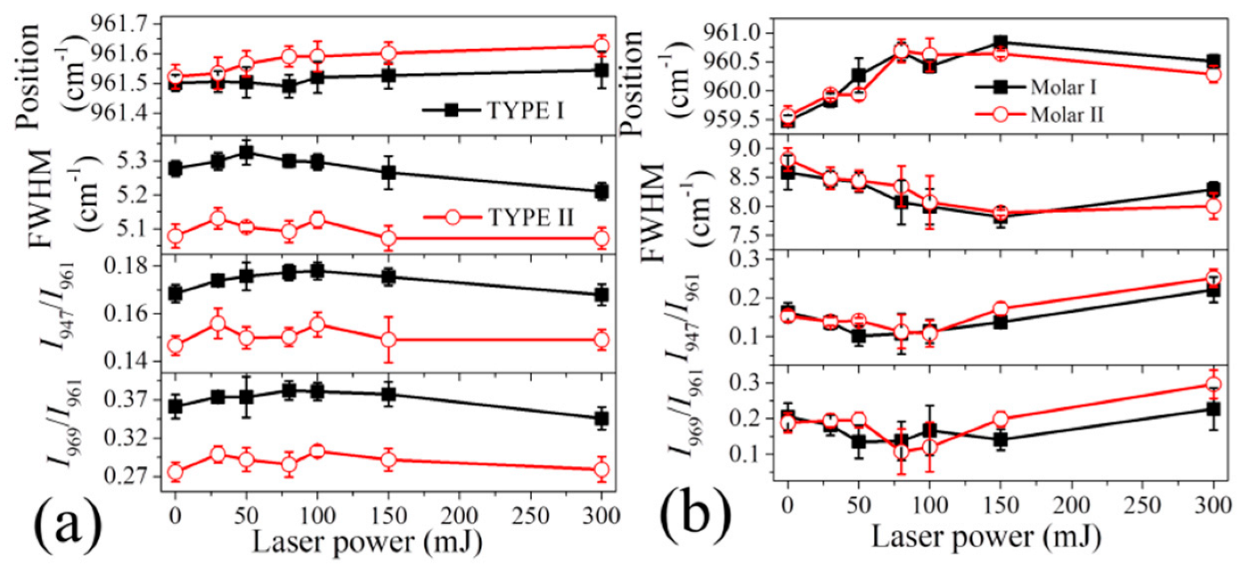 Jfb 13 00200 g005 Jfb 13 00200 g005