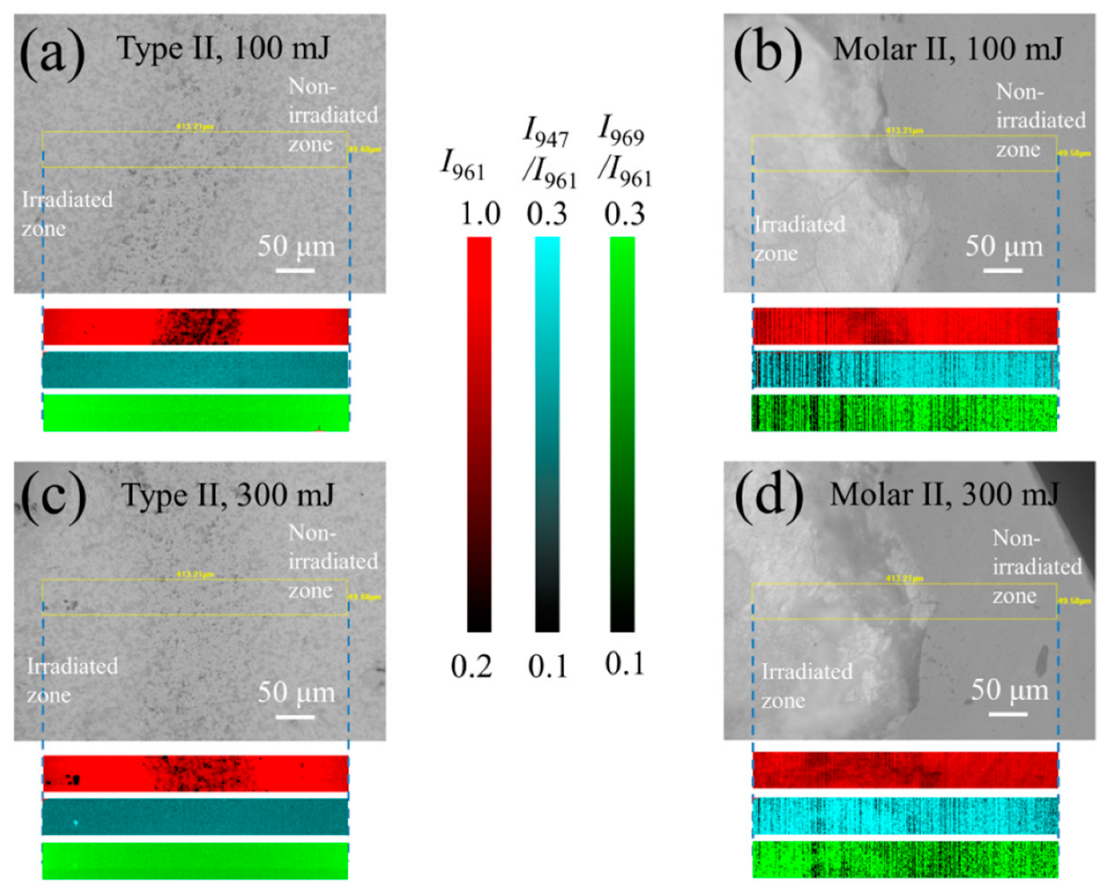 Jfb 13 00200 g006 Jfb 13 00200 g006