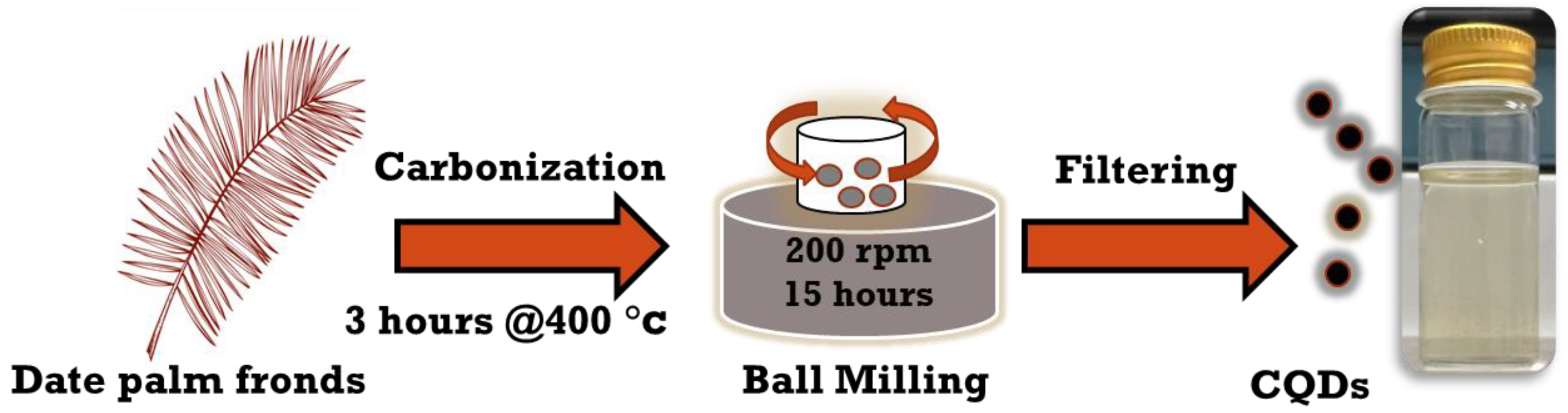 Jfb 13 00218 g001 Jfb 13 00218 g001