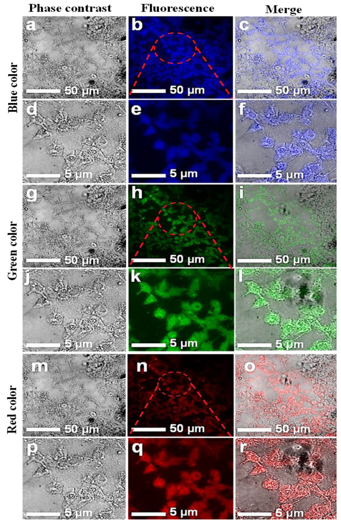 Jfb 13 00218 g006 Jfb 13 00218 g006
