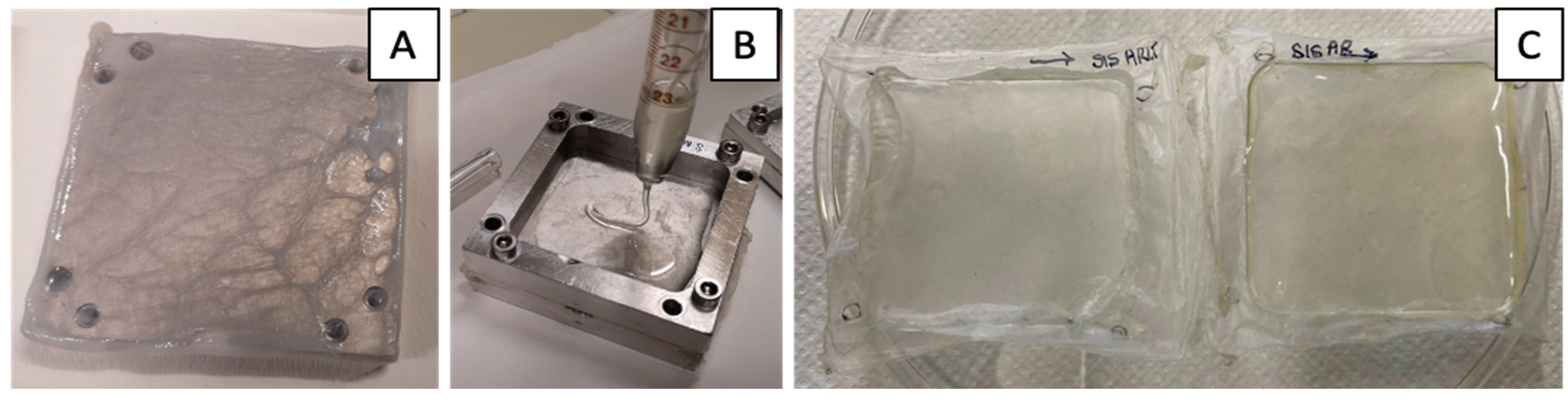 Jfb 13 00222 g001 Jfb 13 00222 g001