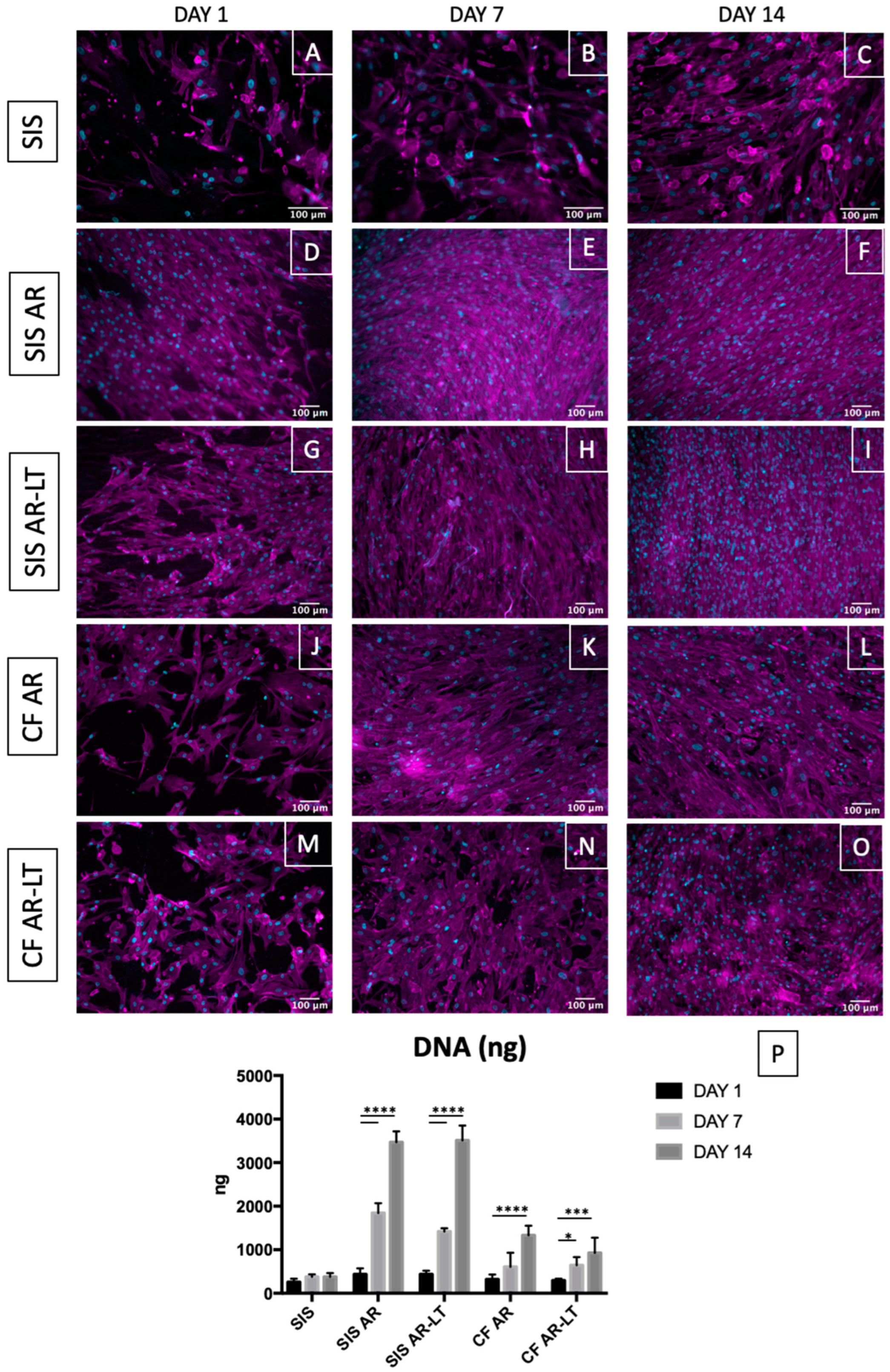Jfb 13 00222 g006 Jfb 13 00222 g006