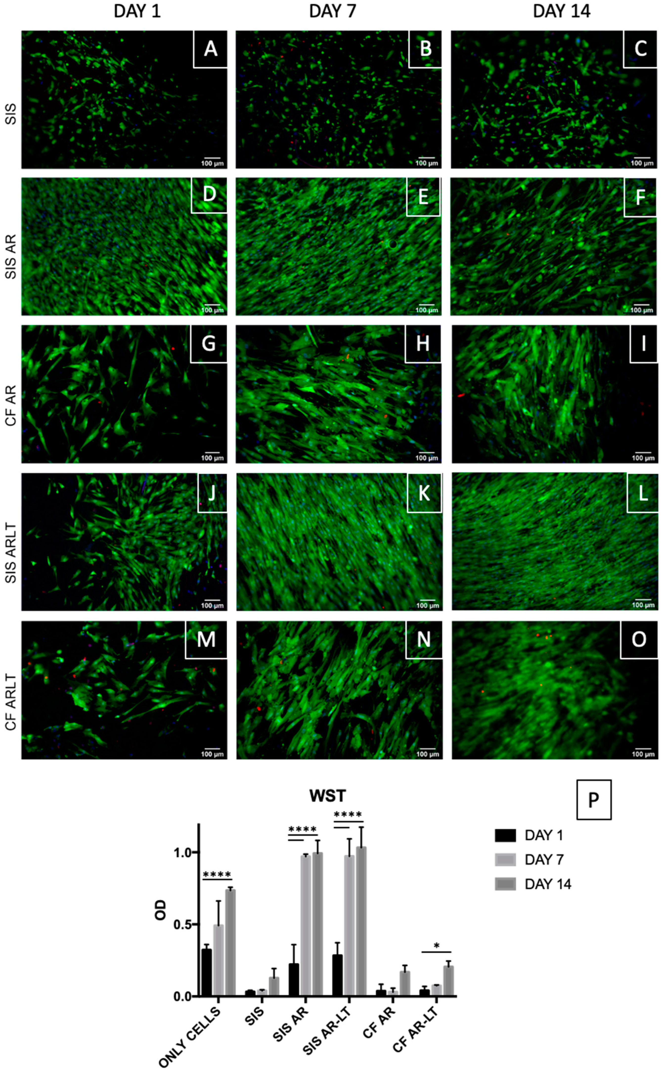 Jfb 13 00222 g007 Jfb 13 00222 g007