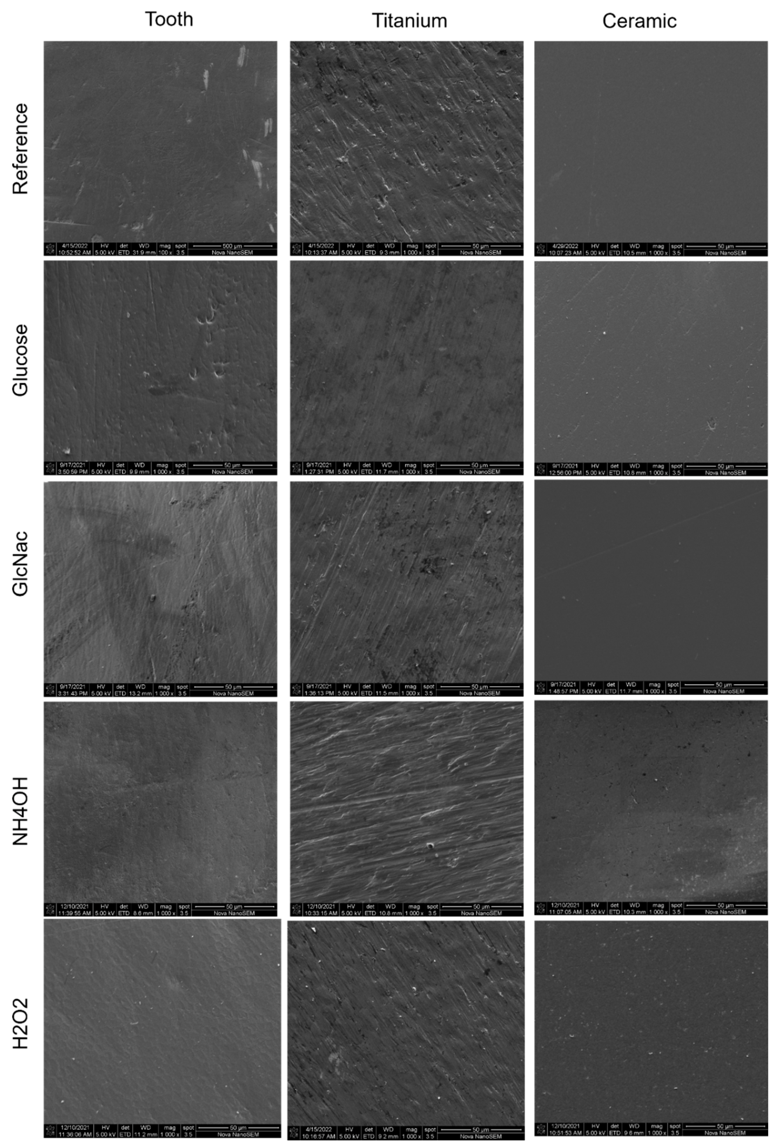 Jfb 13 00223 g006 Jfb 13 00223 g006