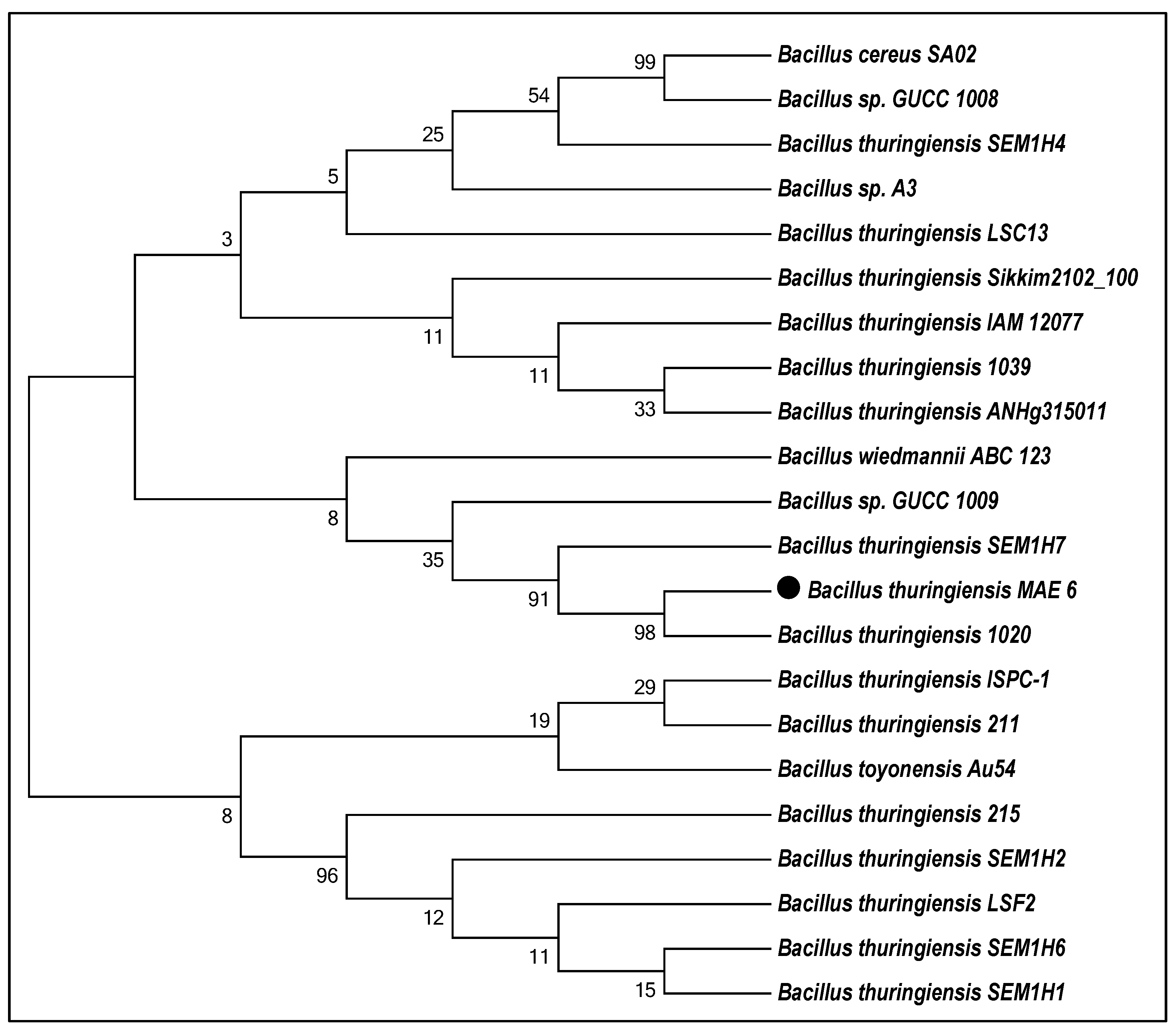 Jfb 13 00242 g001 Jfb 13 00242 g001
