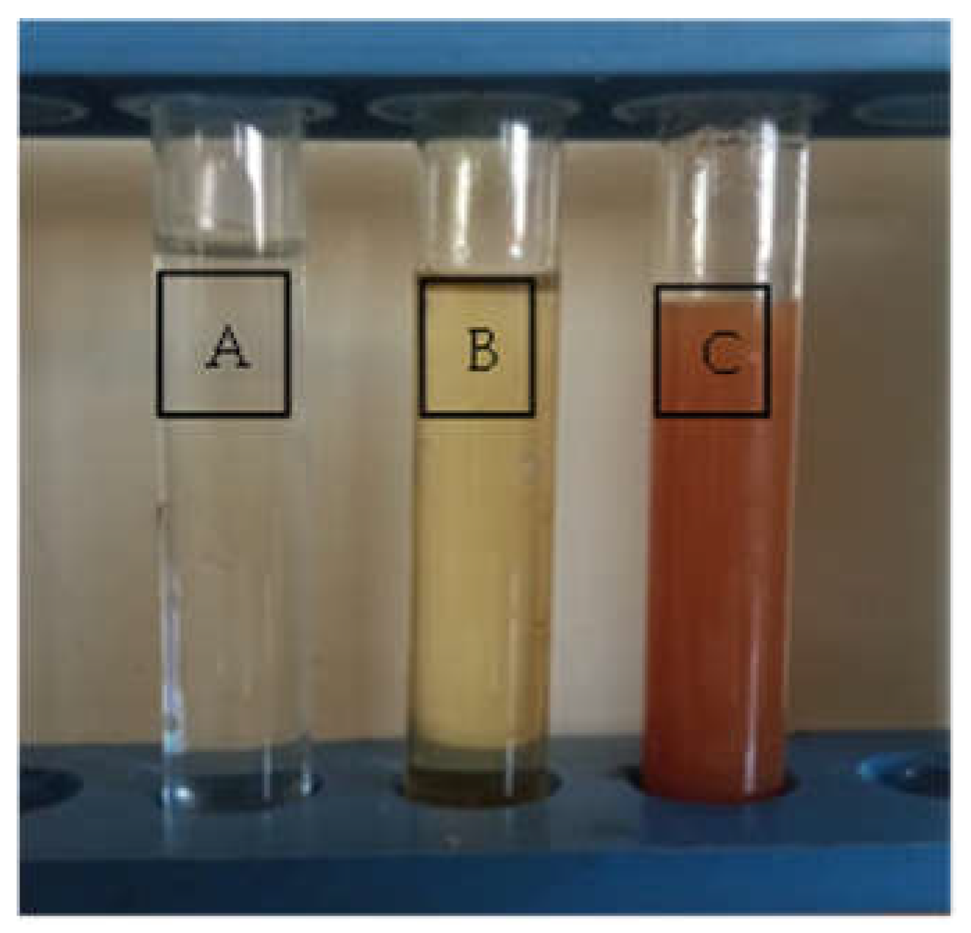 Jfb 13 00242 g002 Jfb 13 00242 g002