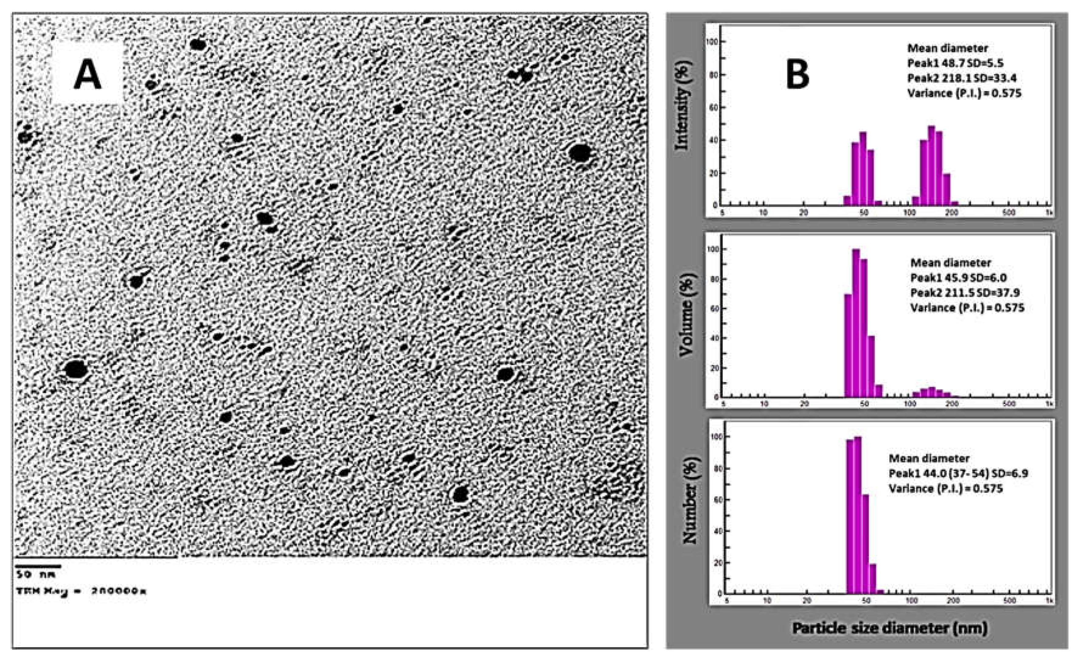 Jfb 13 00242 g006 Jfb 13 00242 g006