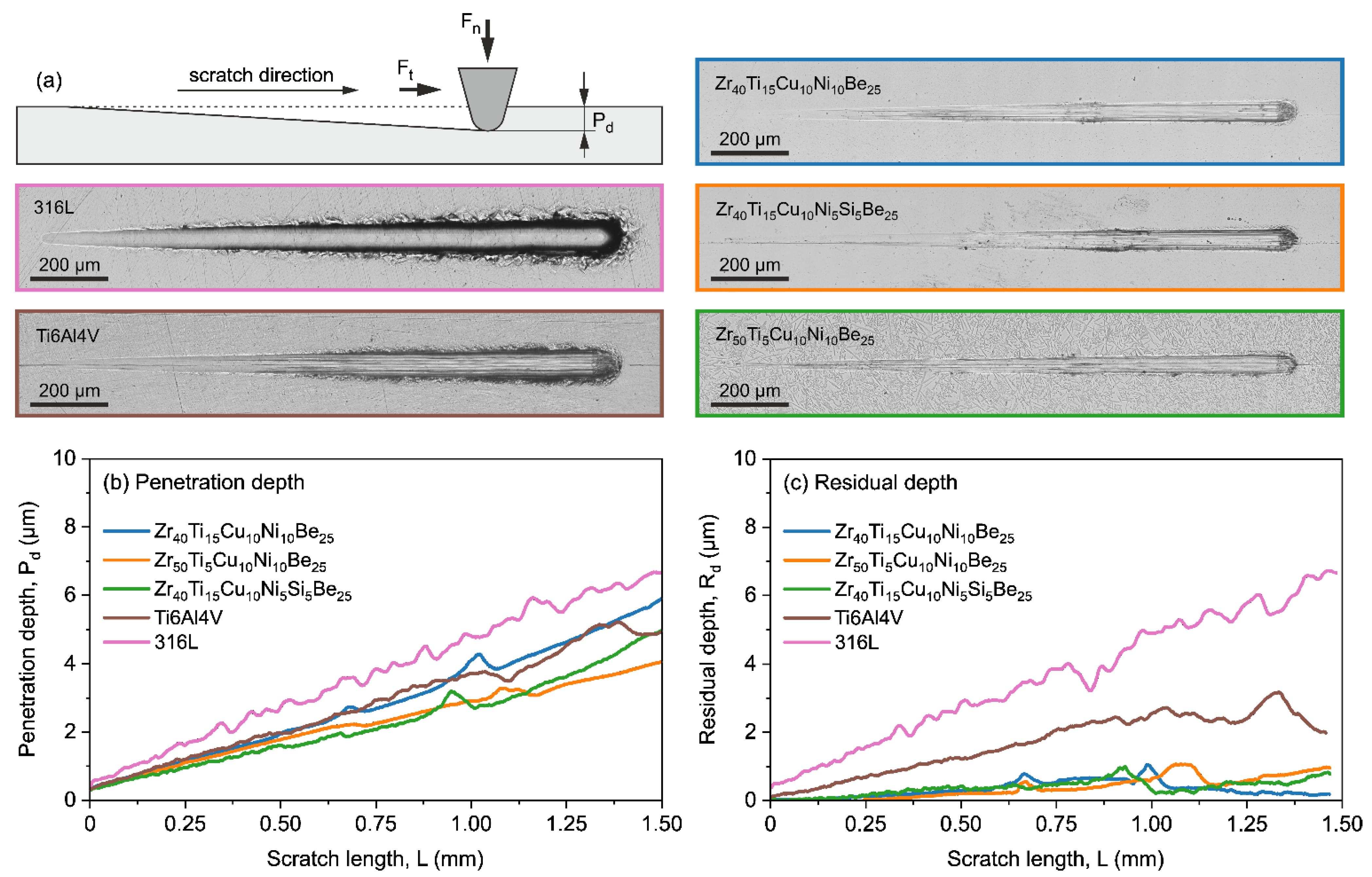 Jfb 13 00245 g003 Jfb 13 00245 g003