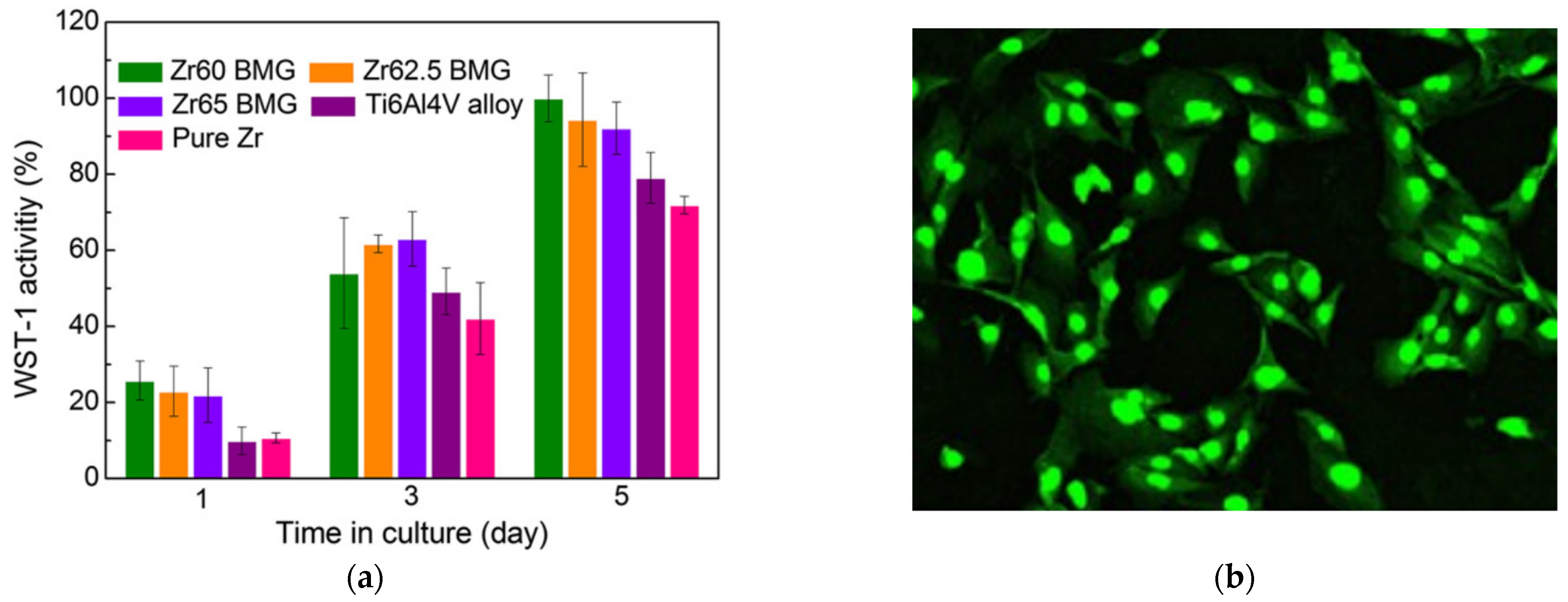 Jfb 13 00245 g006 Jfb 13 00245 g006
