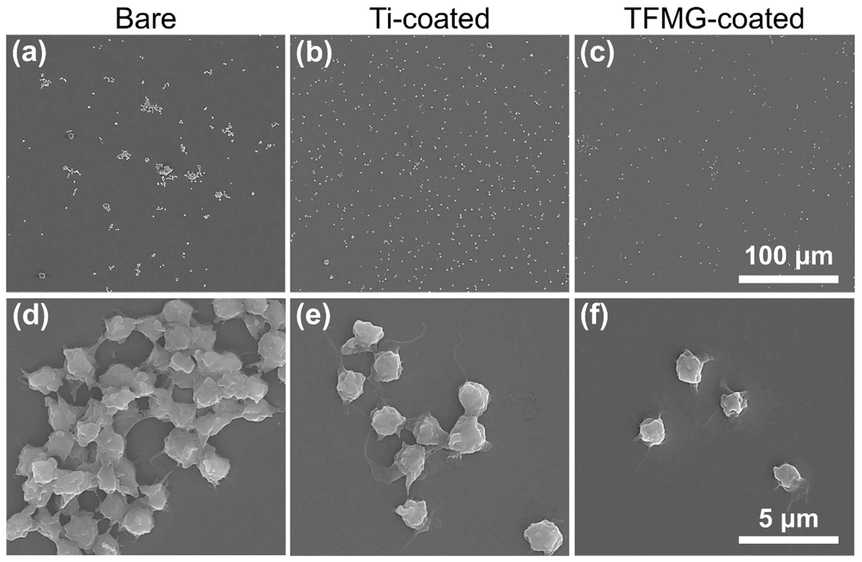 Jfb 13 00245 g008 Jfb 13 00245 g008