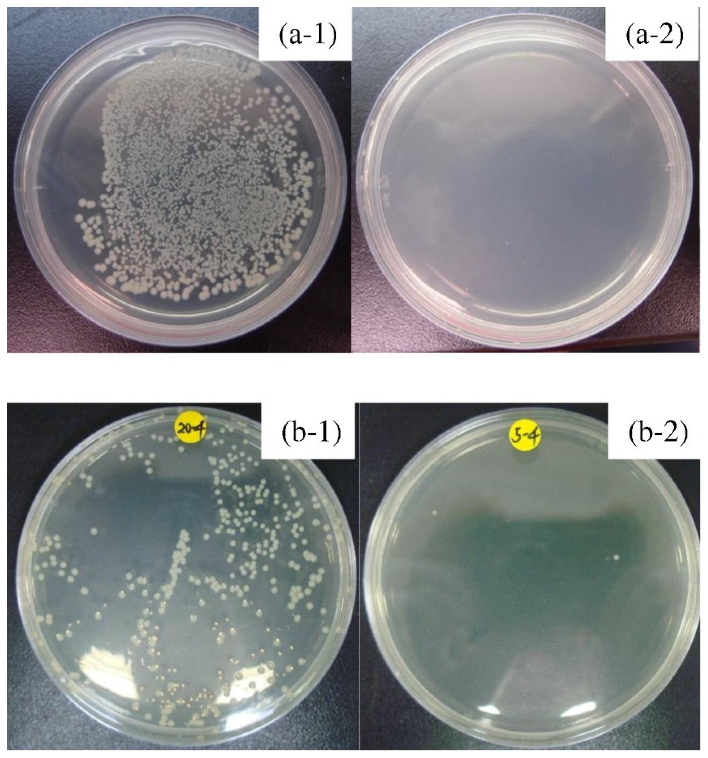 Jfb 13 00245 g009 Jfb 13 00245 g009