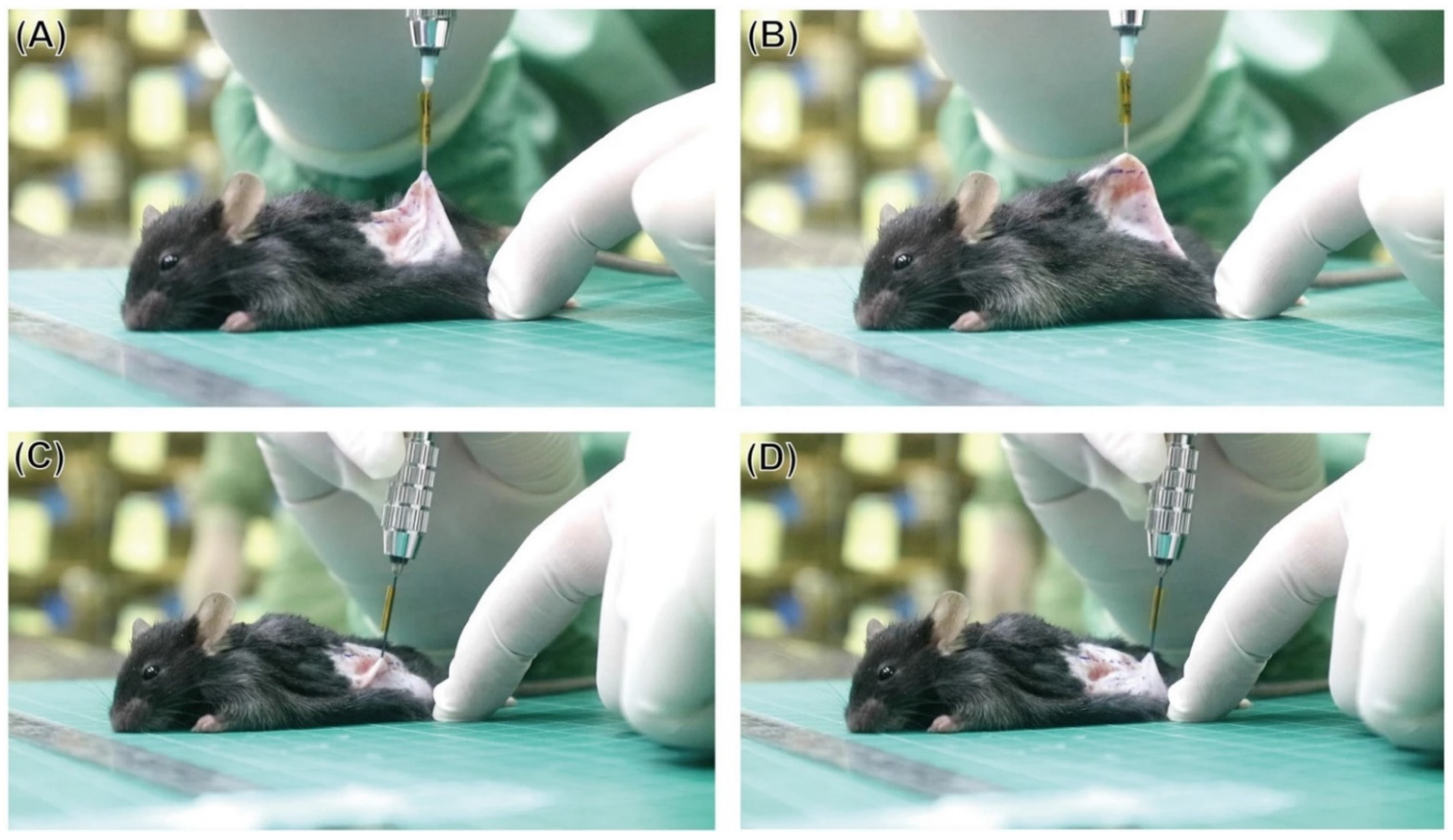 Jfb 13 00245 g011 Jfb 13 00245 g011