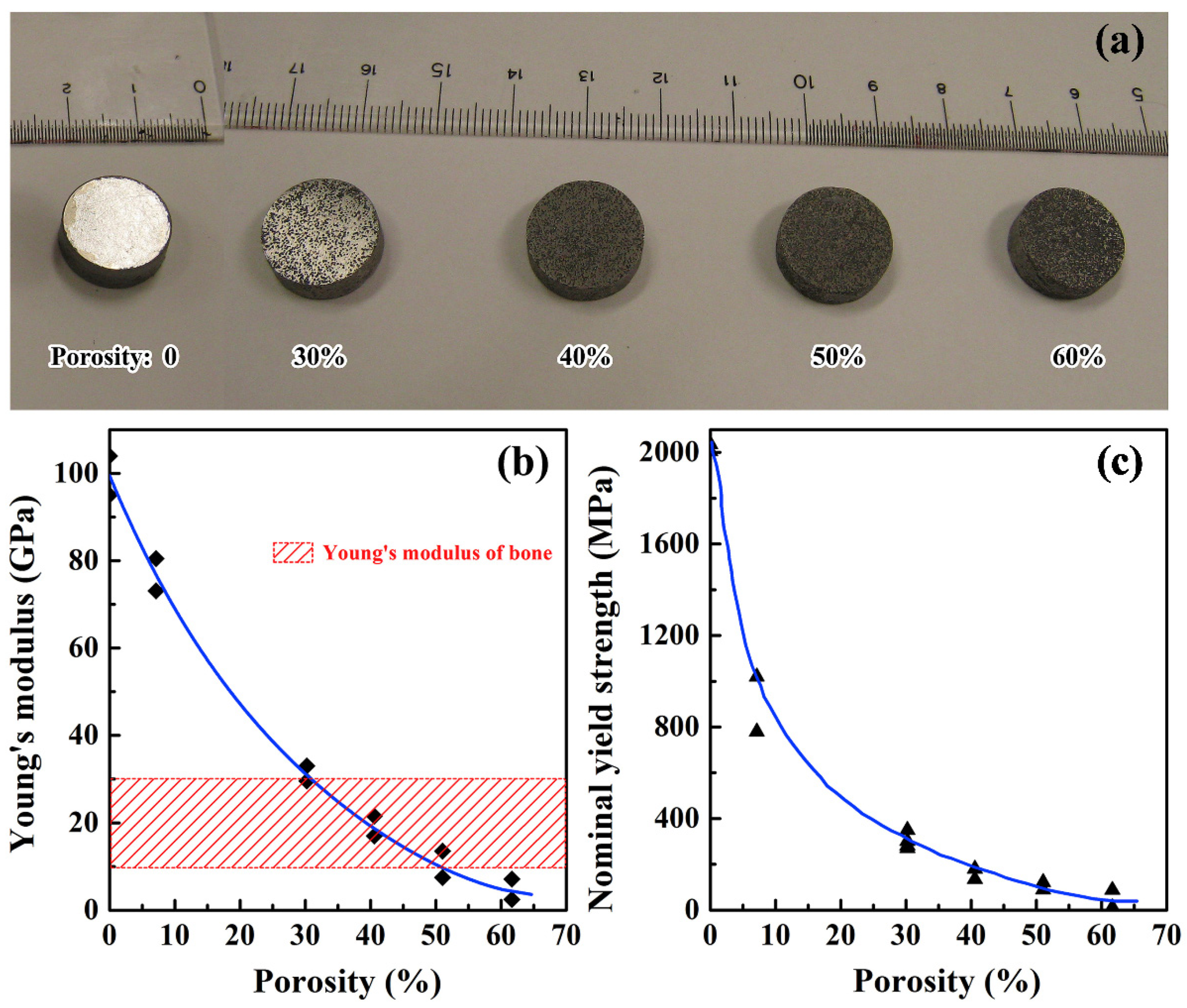 Jfb 13 00245 g013 Jfb 13 00245 g013