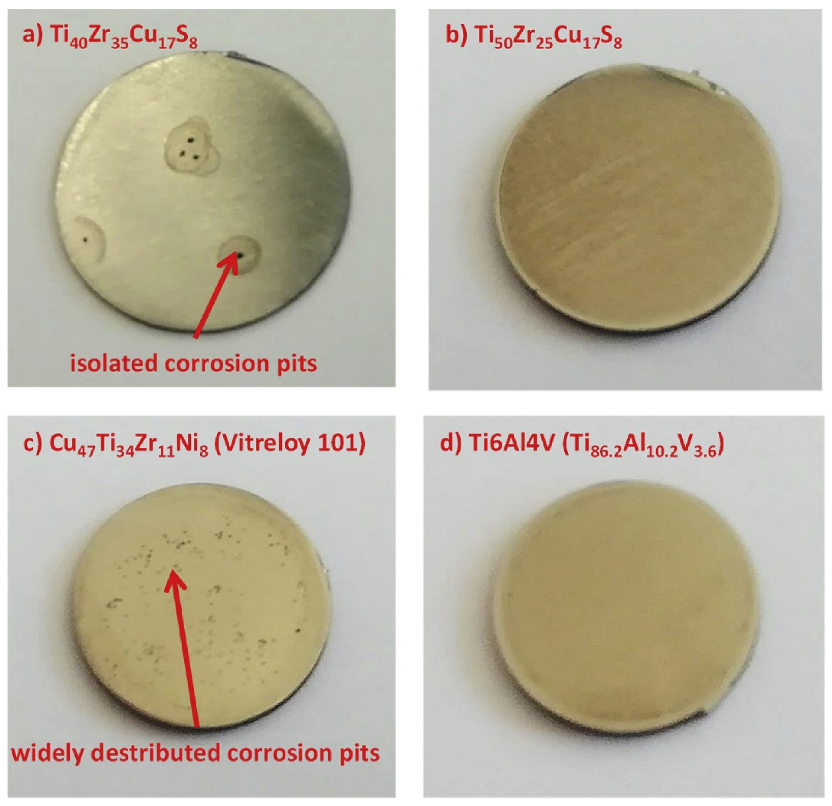Jfb 13 00245 g016 Jfb 13 00245 g016