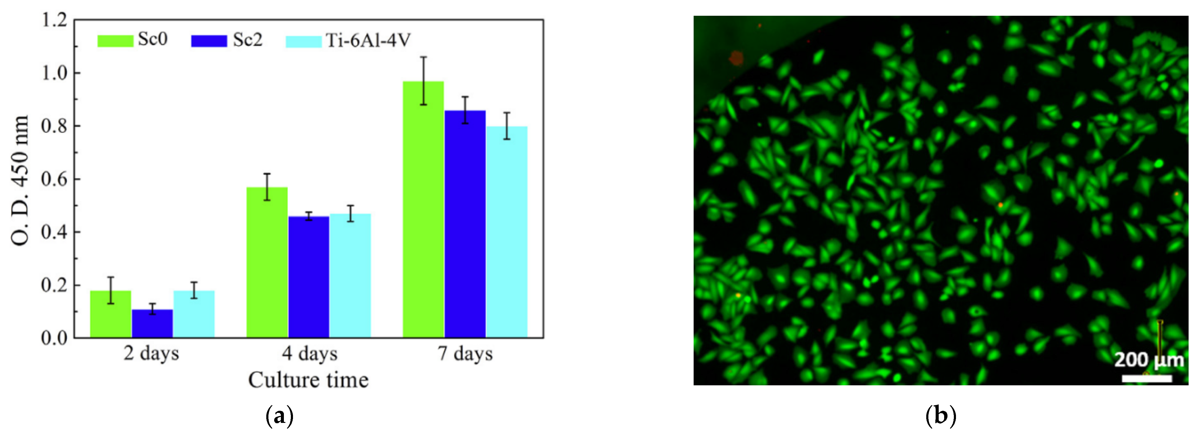 Jfb 13 00245 g017 Jfb 13 00245 g017