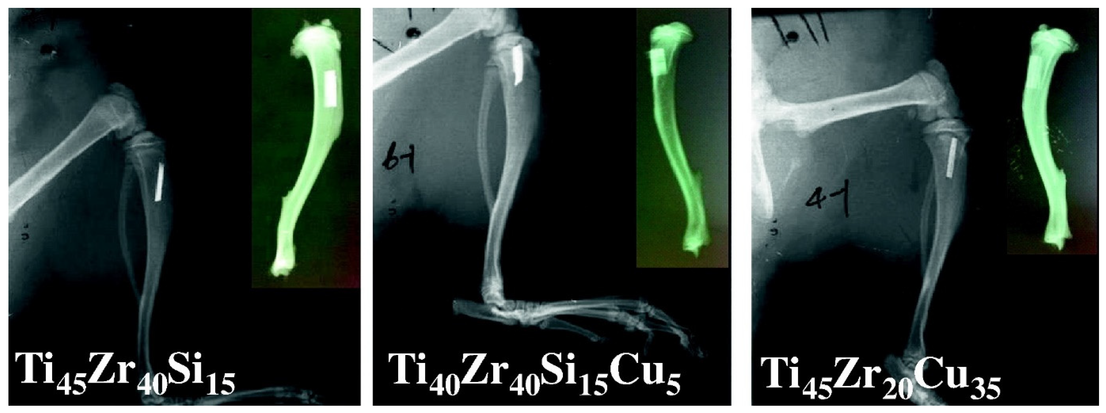 Jfb 13 00245 g020 Jfb 13 00245 g020