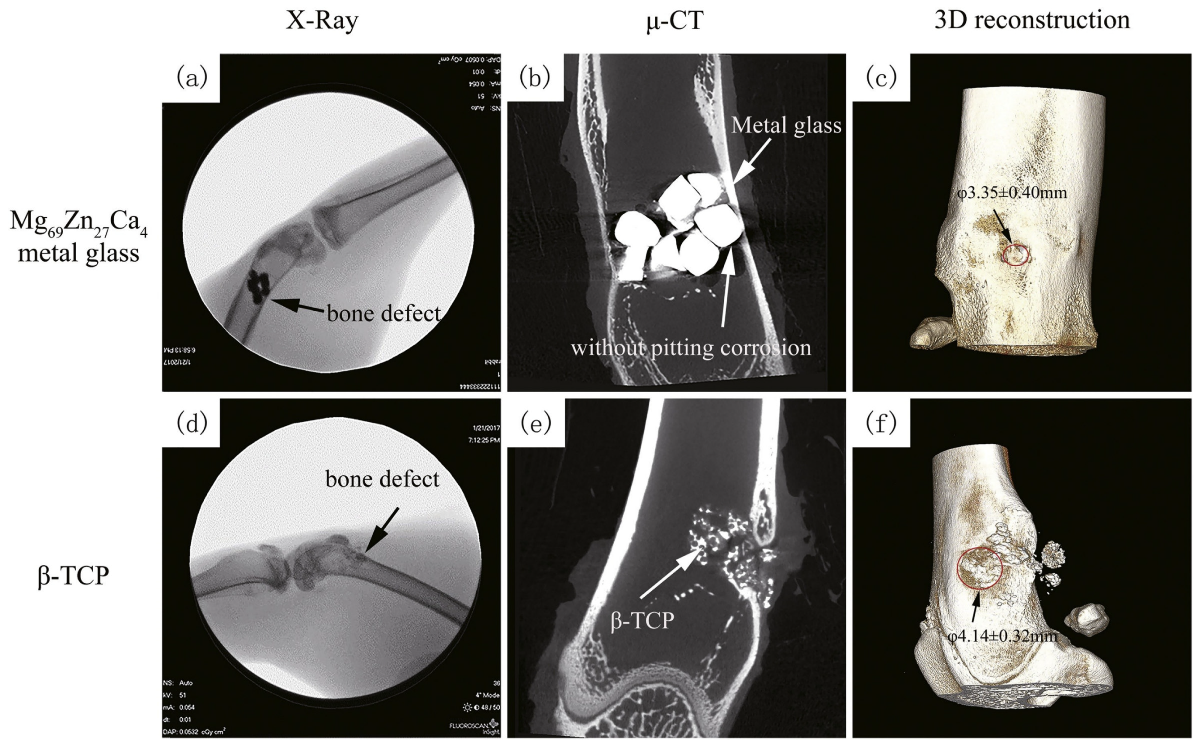 Jfb 13 00245 g023 Jfb 13 00245 g023