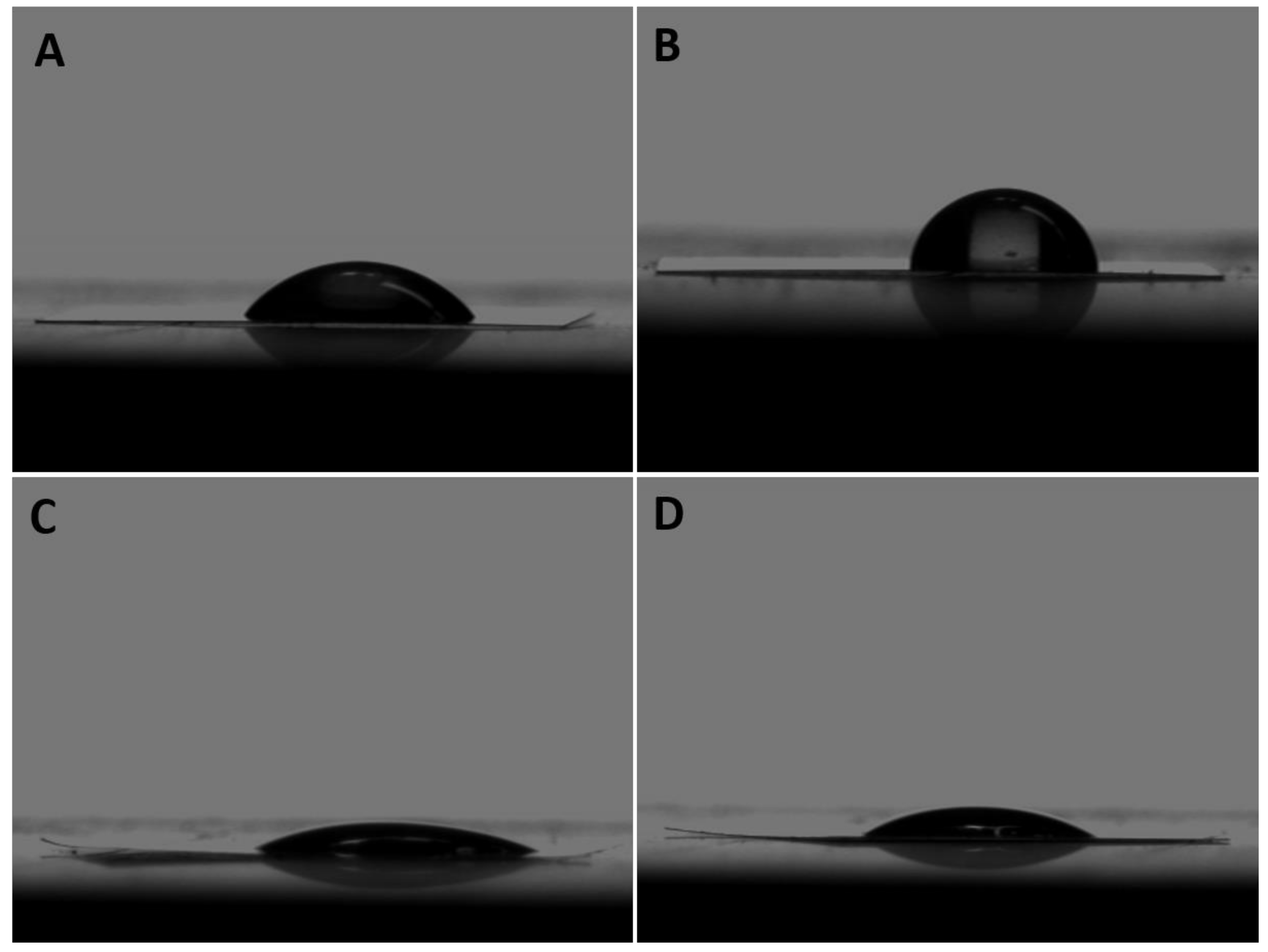 Jfb 13 00247 g001 Jfb 13 00247 g001