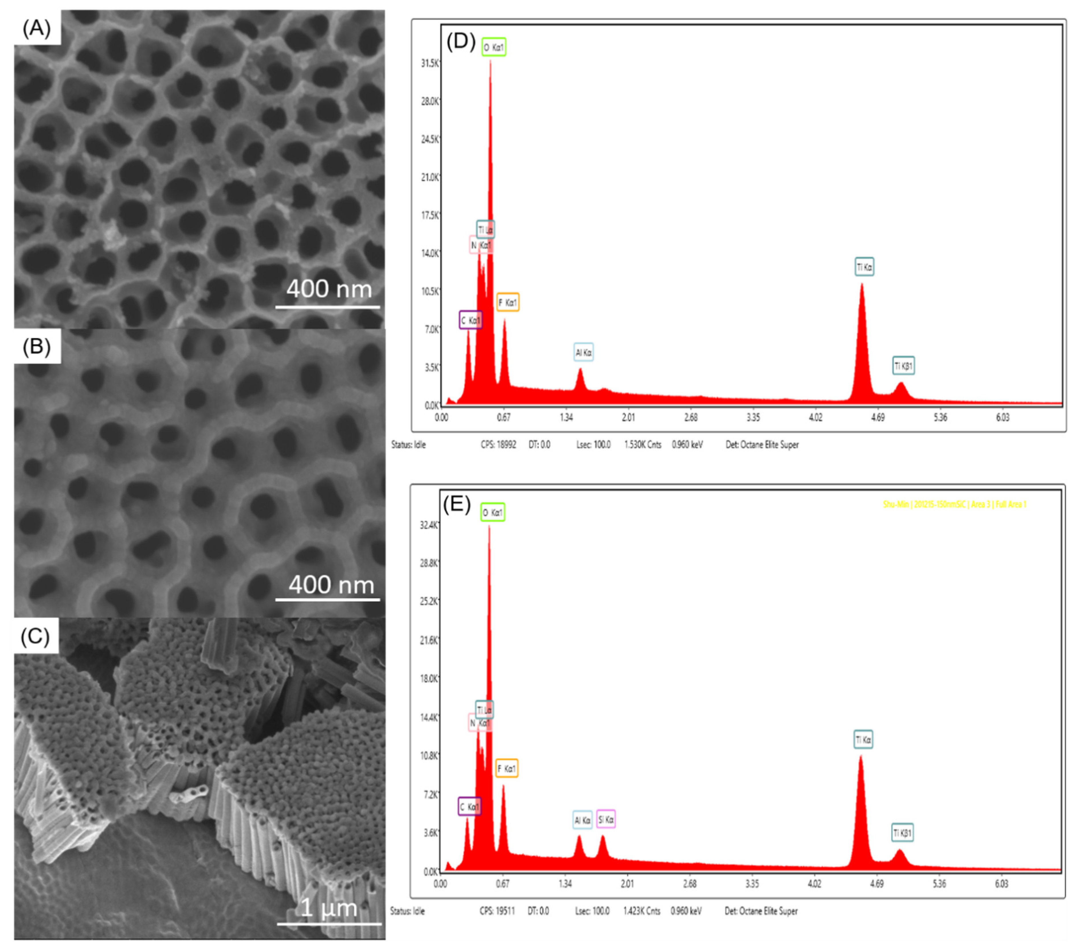 Jfb 13 00247 g002 Jfb 13 00247 g002