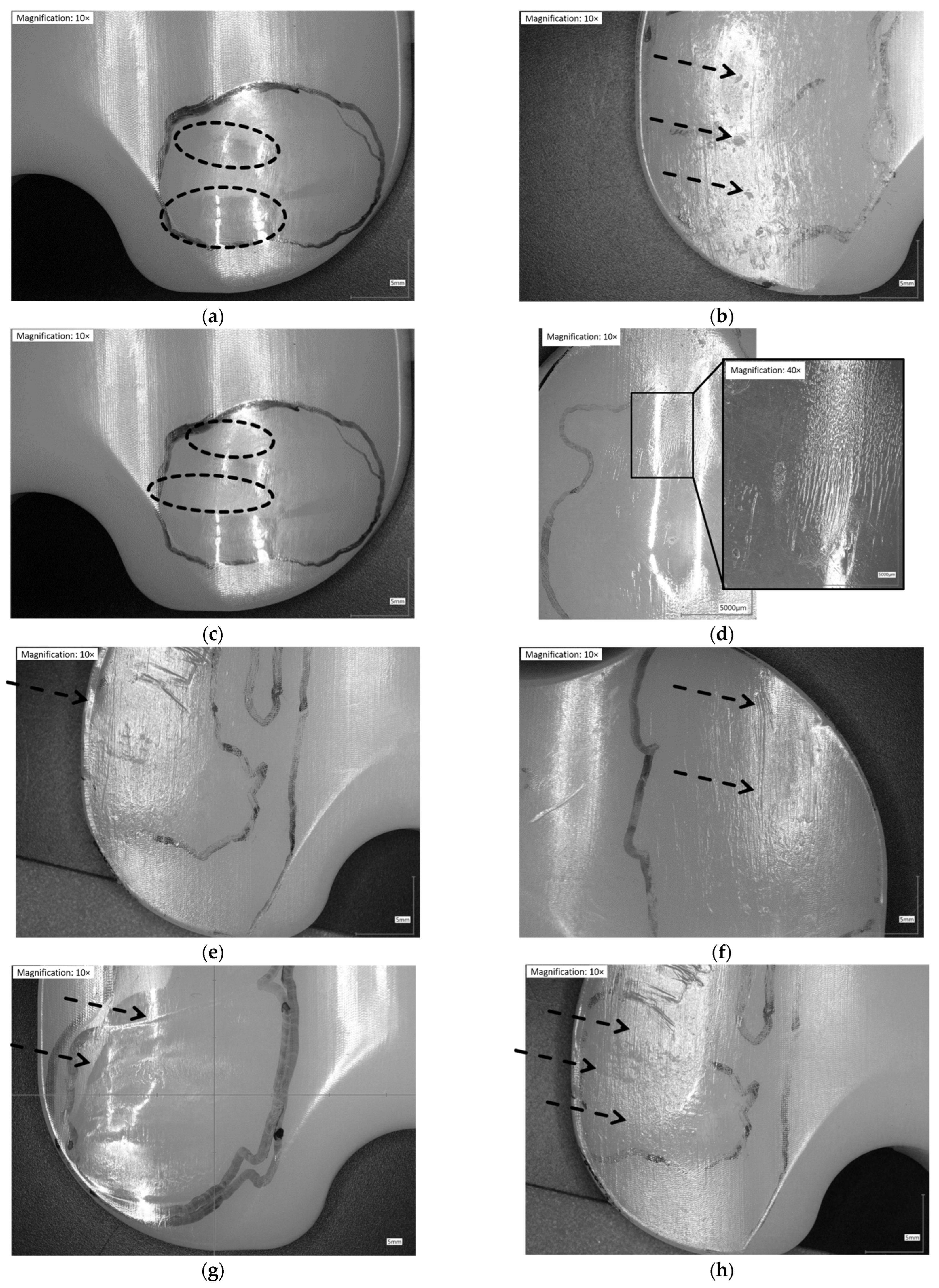Jfb 13 00256 g002 Jfb 13 00256 g002
