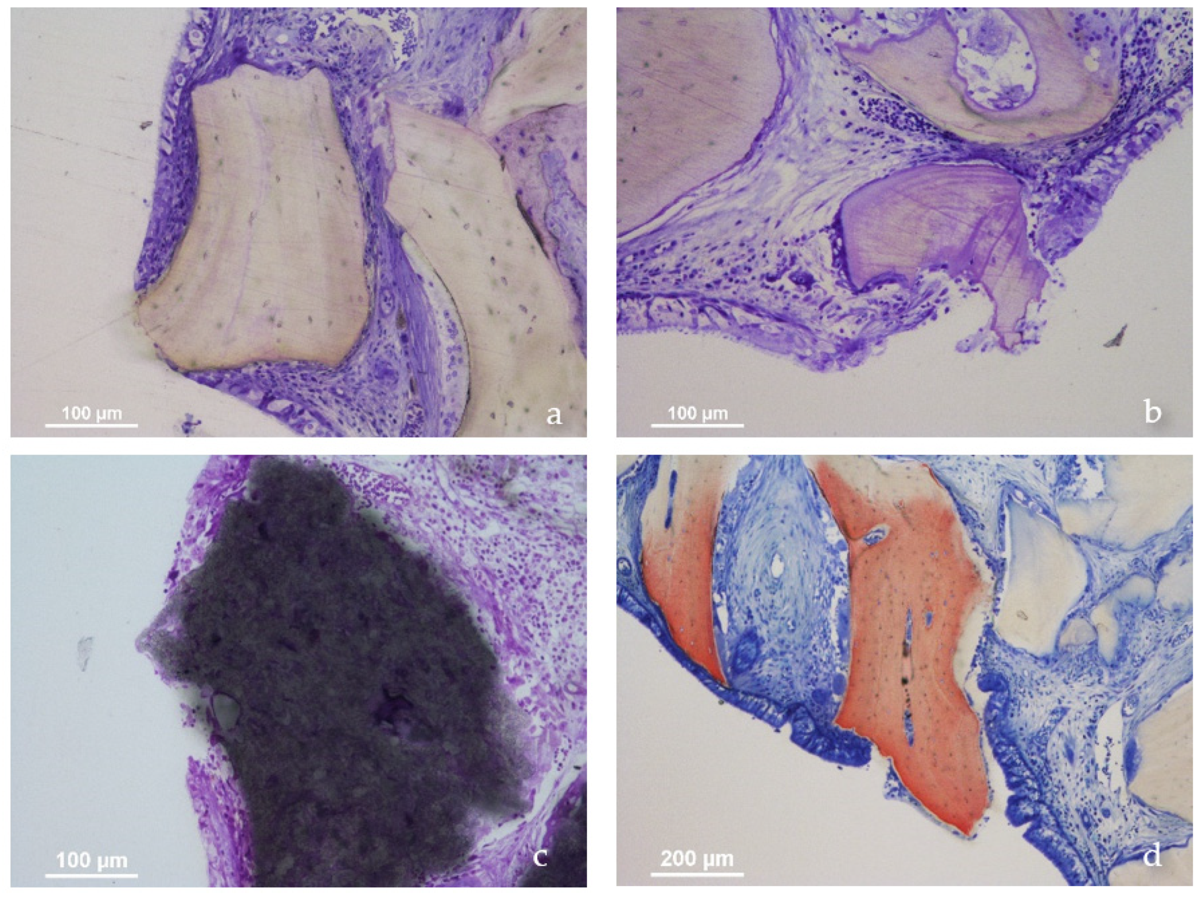 Jfb 13 00257 g003 Jfb 13 00257 g003