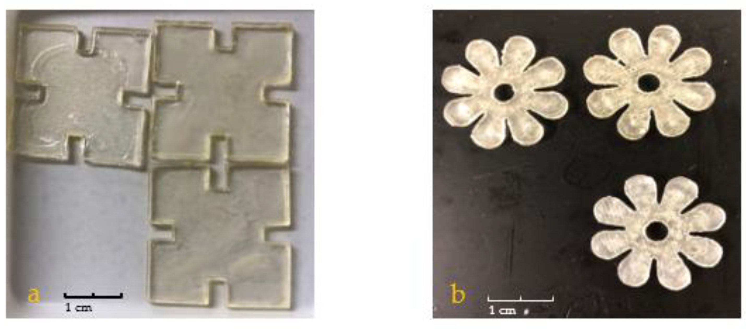 Jfb 13 00262 g003 Jfb 13 00262 g003