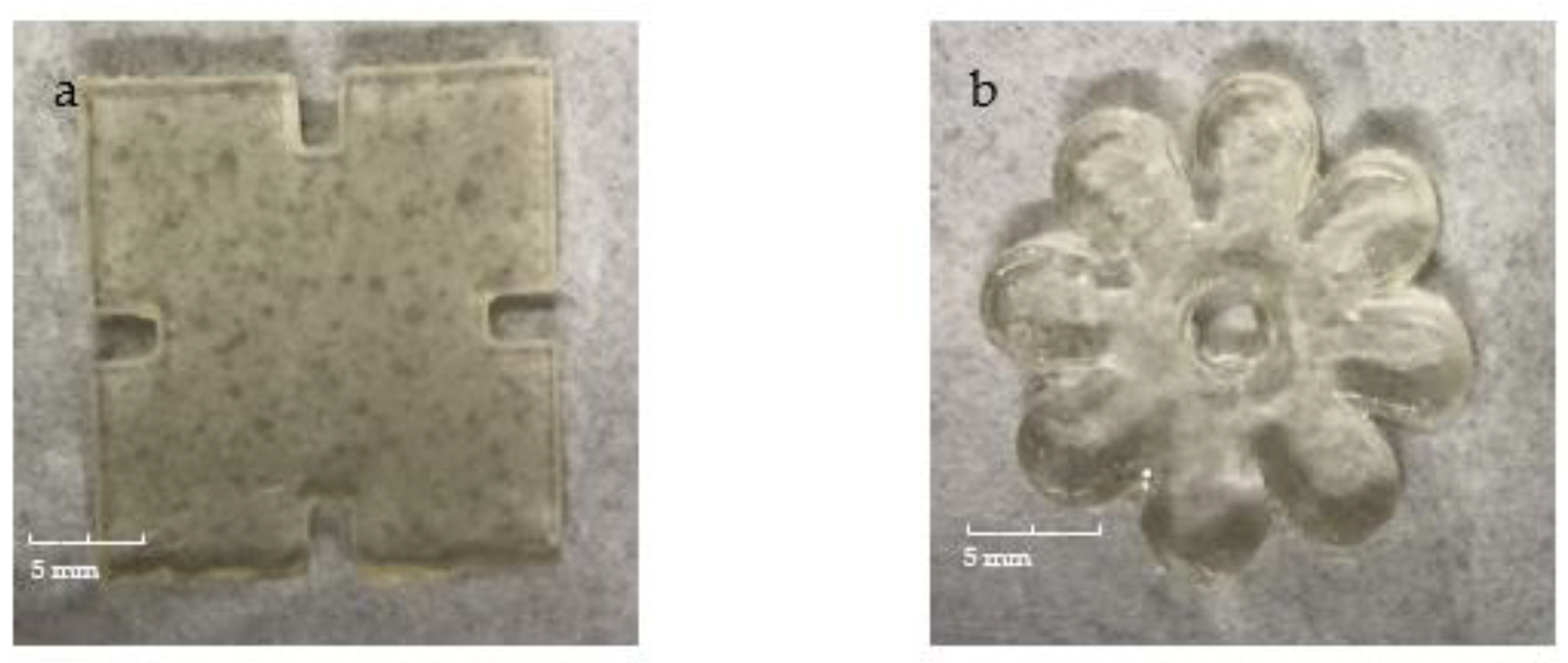 Jfb 13 00262 g004 Jfb 13 00262 g004