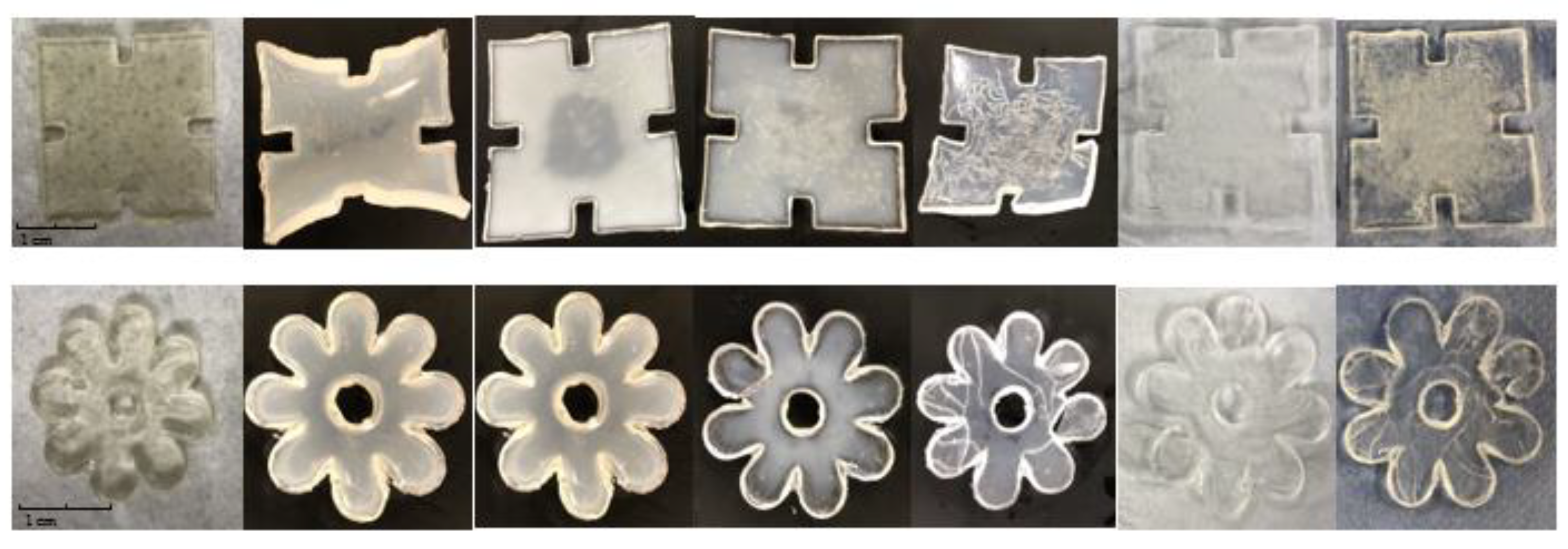 Jfb 13 00262 g013 Jfb 13 00262 g013