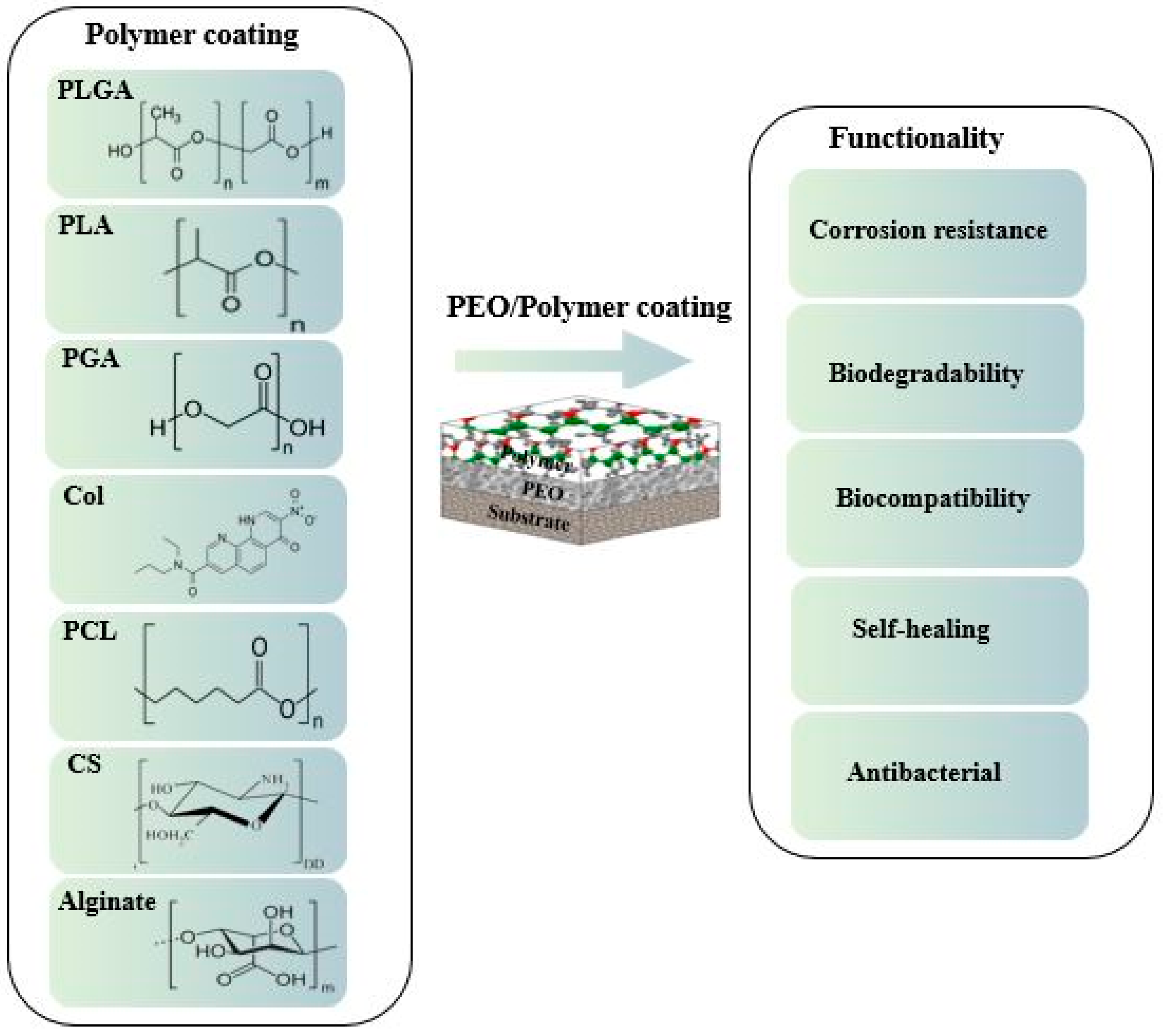 Jfb 13 00267 g001 Jfb 13 00267 g001