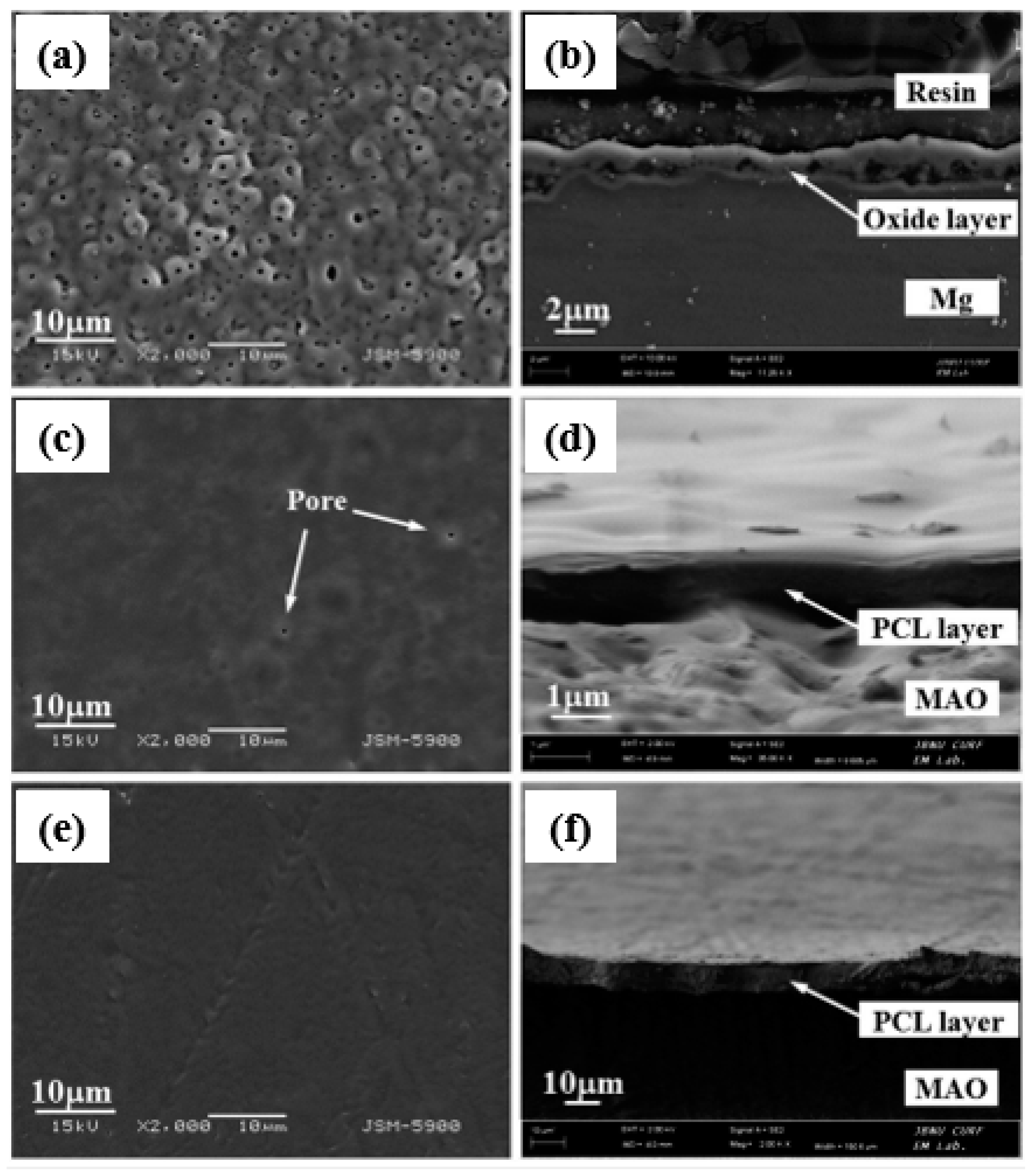 Jfb 13 00267 g006 Jfb 13 00267 g006