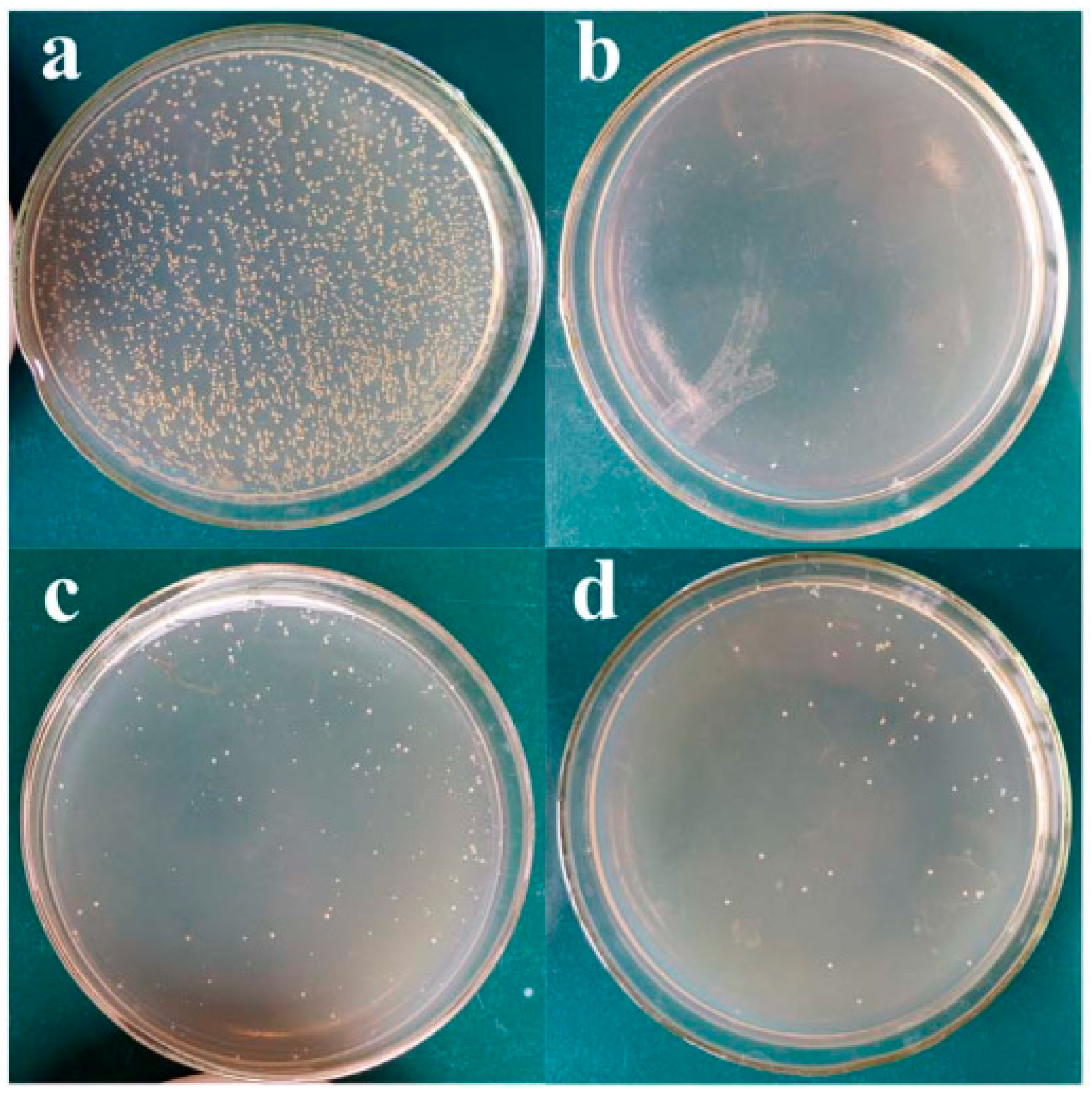 Jfb 13 00267 g011 Jfb 13 00267 g011