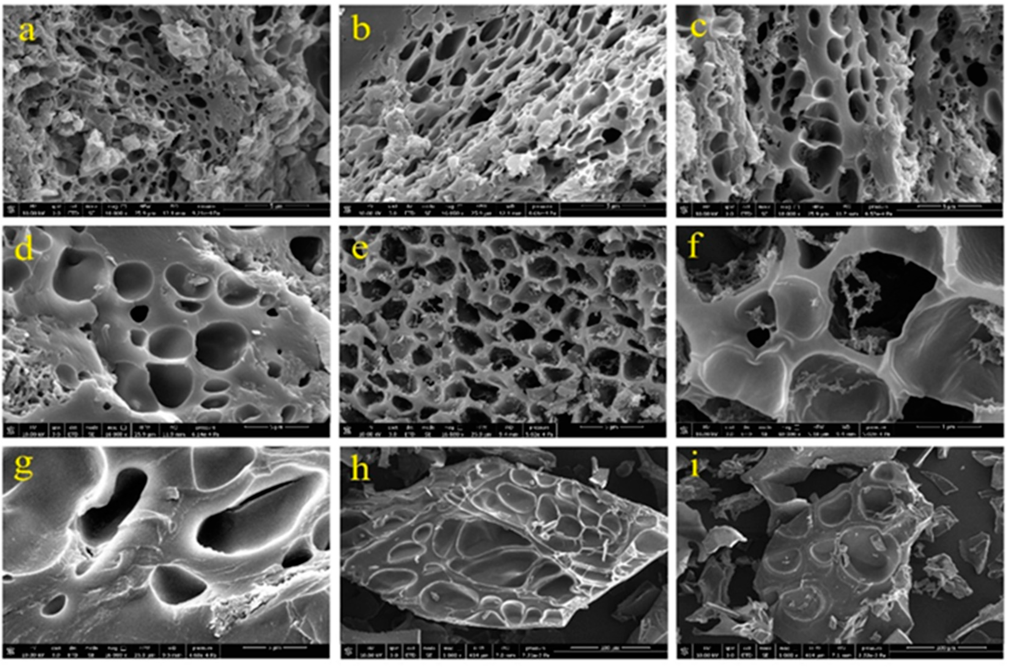 Jfb 13 00273 g004 Jfb 13 00273 g004