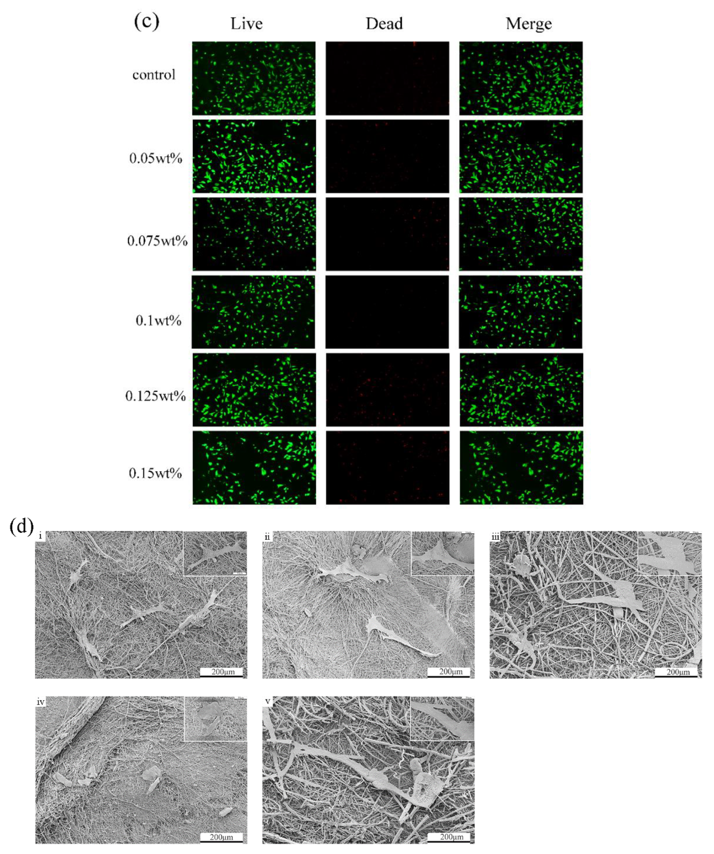 Jfb 13 00280 g005b Jfb 13 00280 g005b