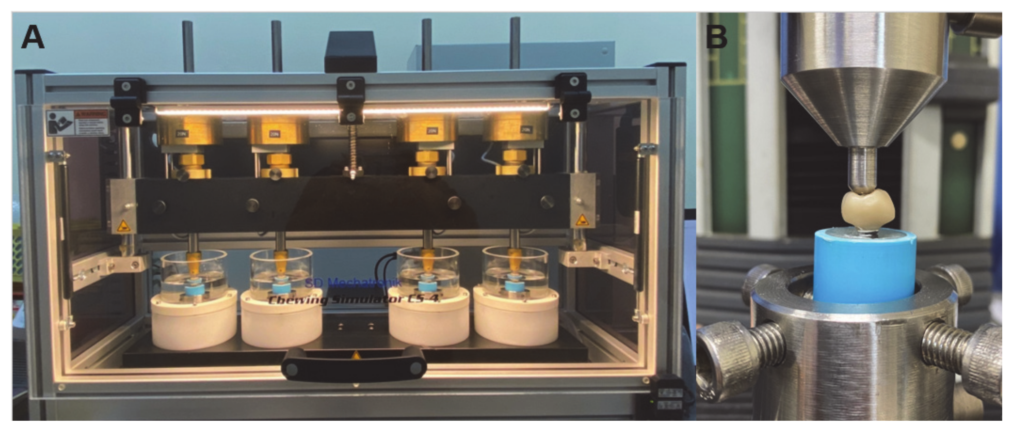 Jfb 13 00281 g003 Jfb 13 00281 g003