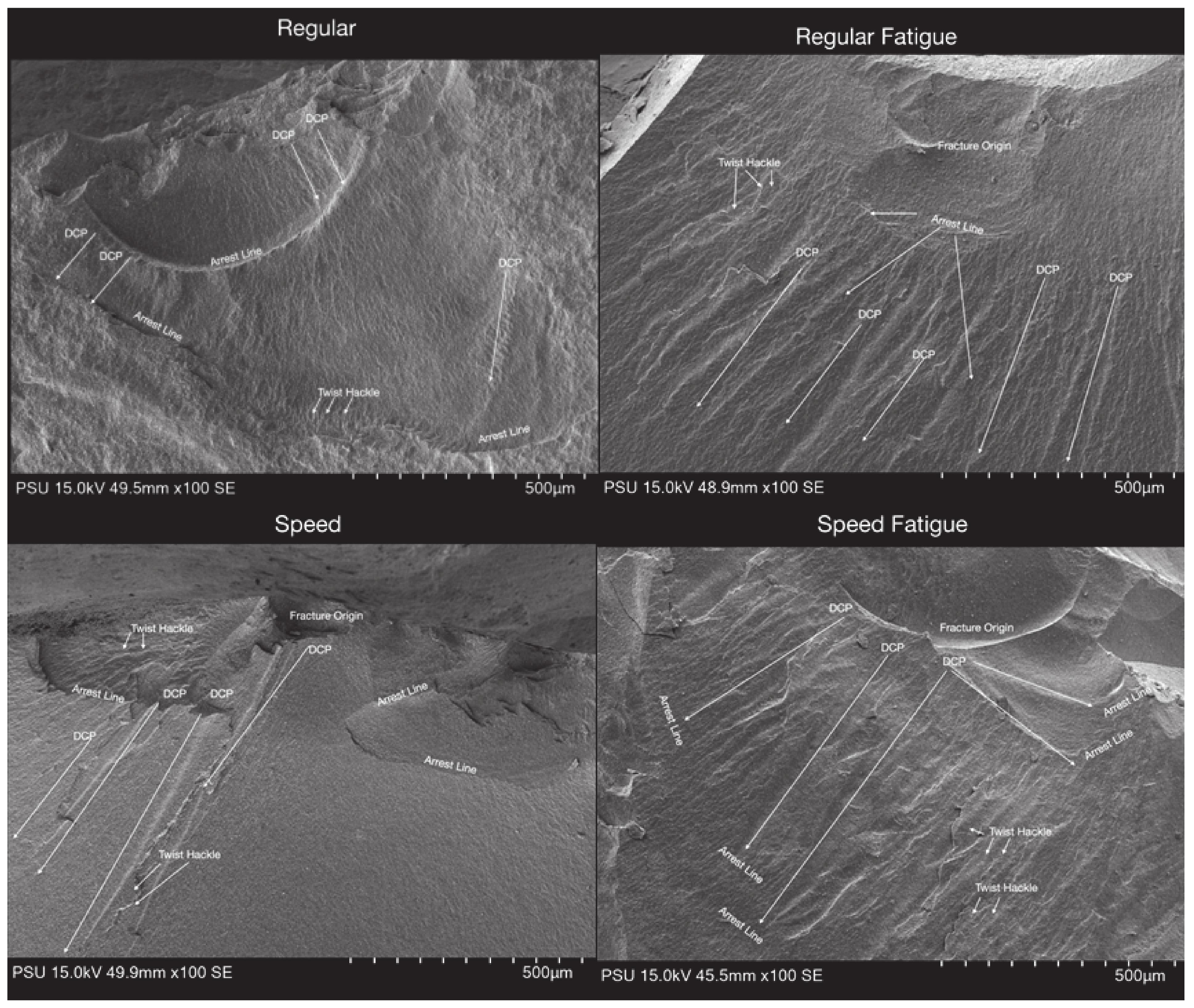 Jfb 13 00281 g004 Jfb 13 00281 g004