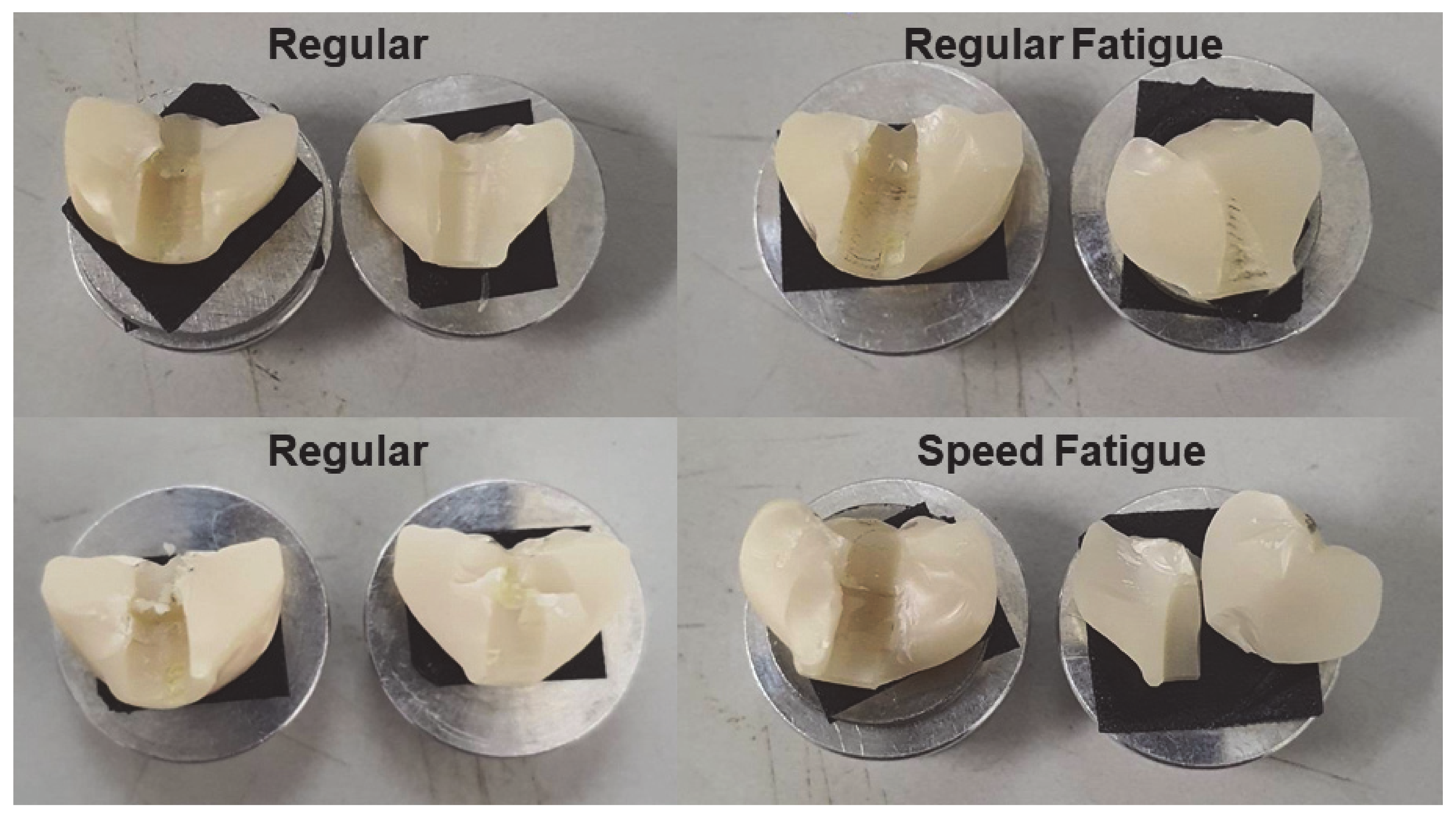 Jfb 13 00281 g005 Jfb 13 00281 g005