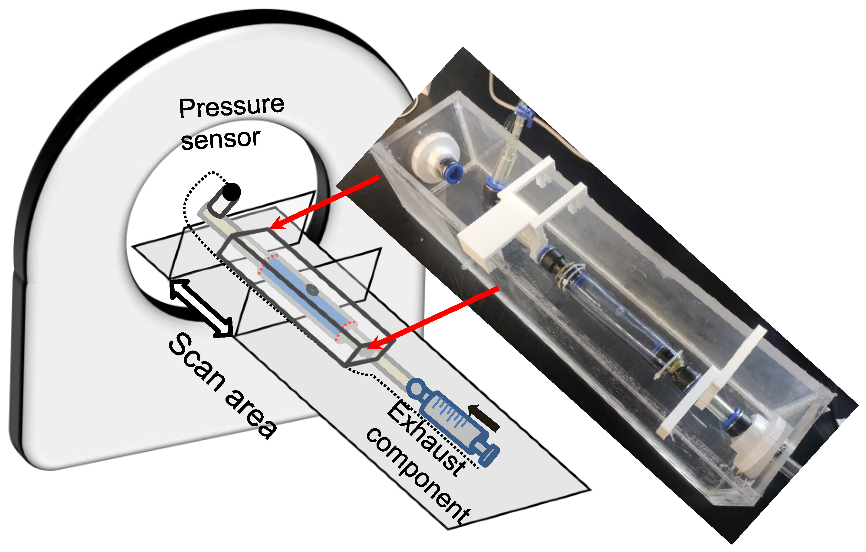 Jfb 13 00290 g005 Jfb 13 00290 g005