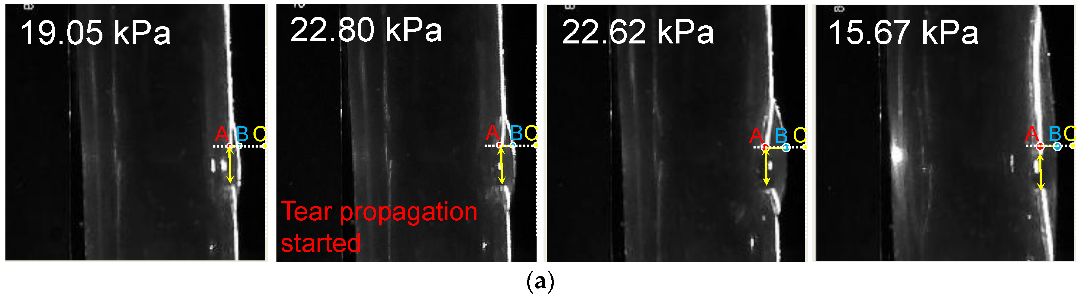 Jfb 13 00290 g006a Jfb 13 00290 g006a