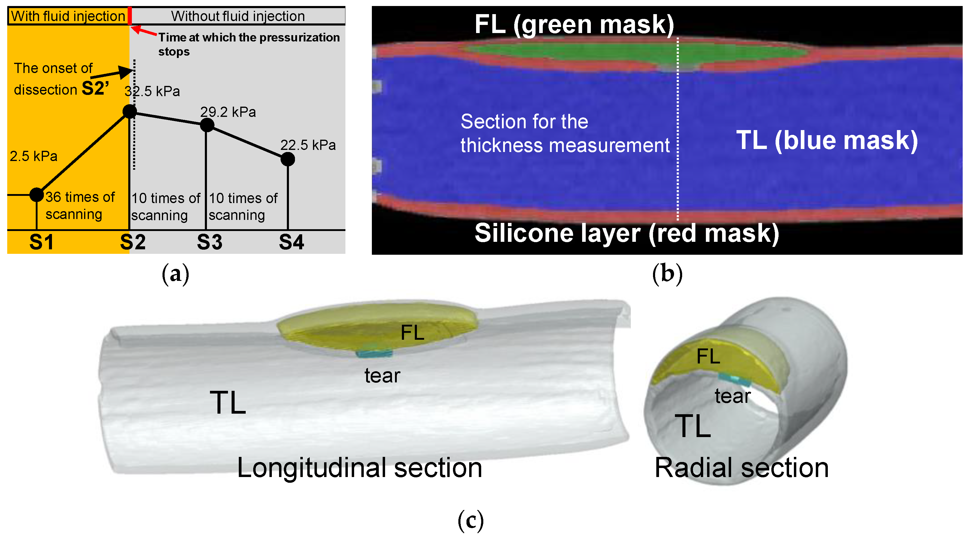 Jfb 13 00290 g007 Jfb 13 00290 g007