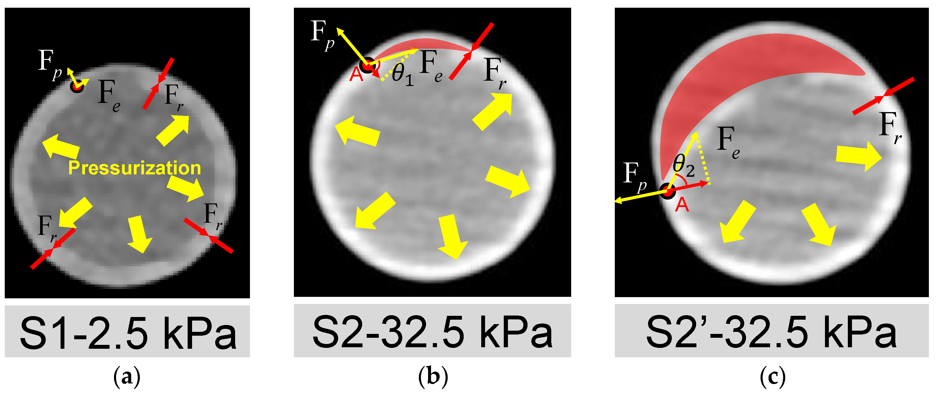Jfb 13 00290 g009 Jfb 13 00290 g009