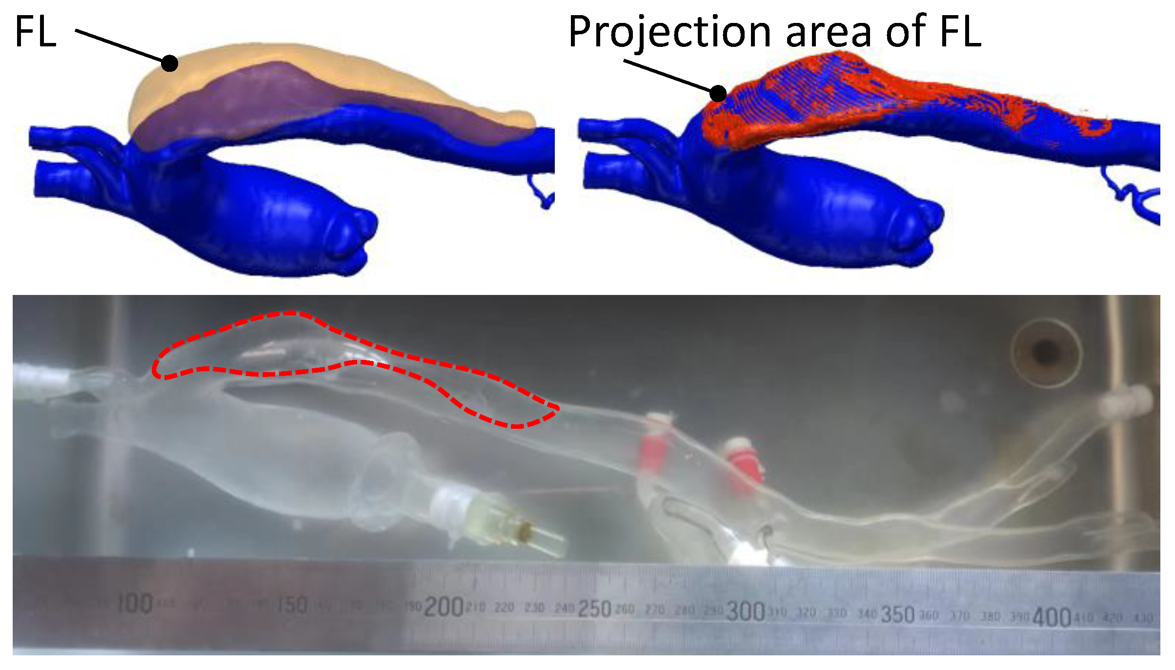 Jfb 13 00290 g010 Jfb 13 00290 g010
