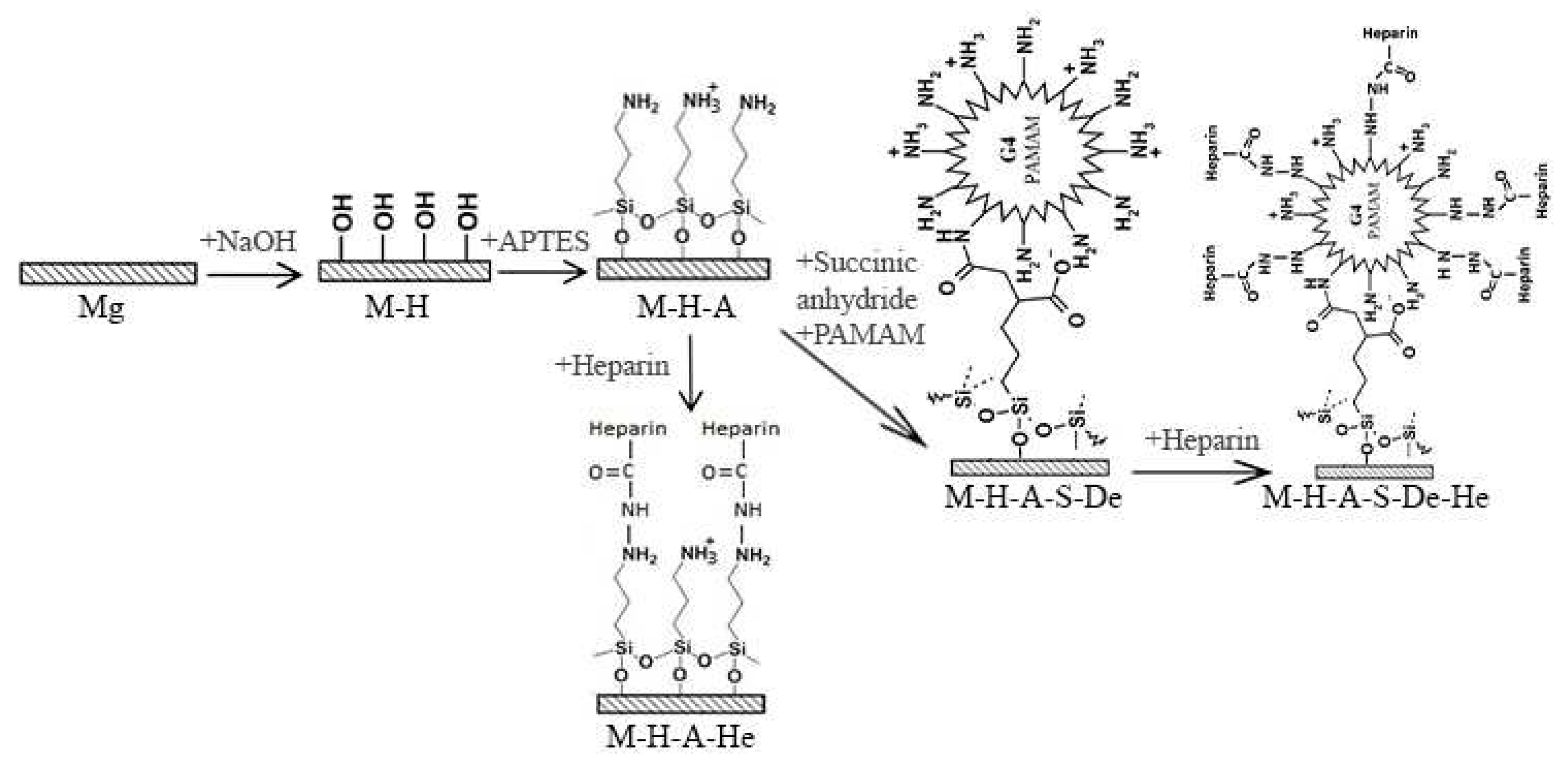 Jfb 13 00296 g001 Jfb 13 00296 g001