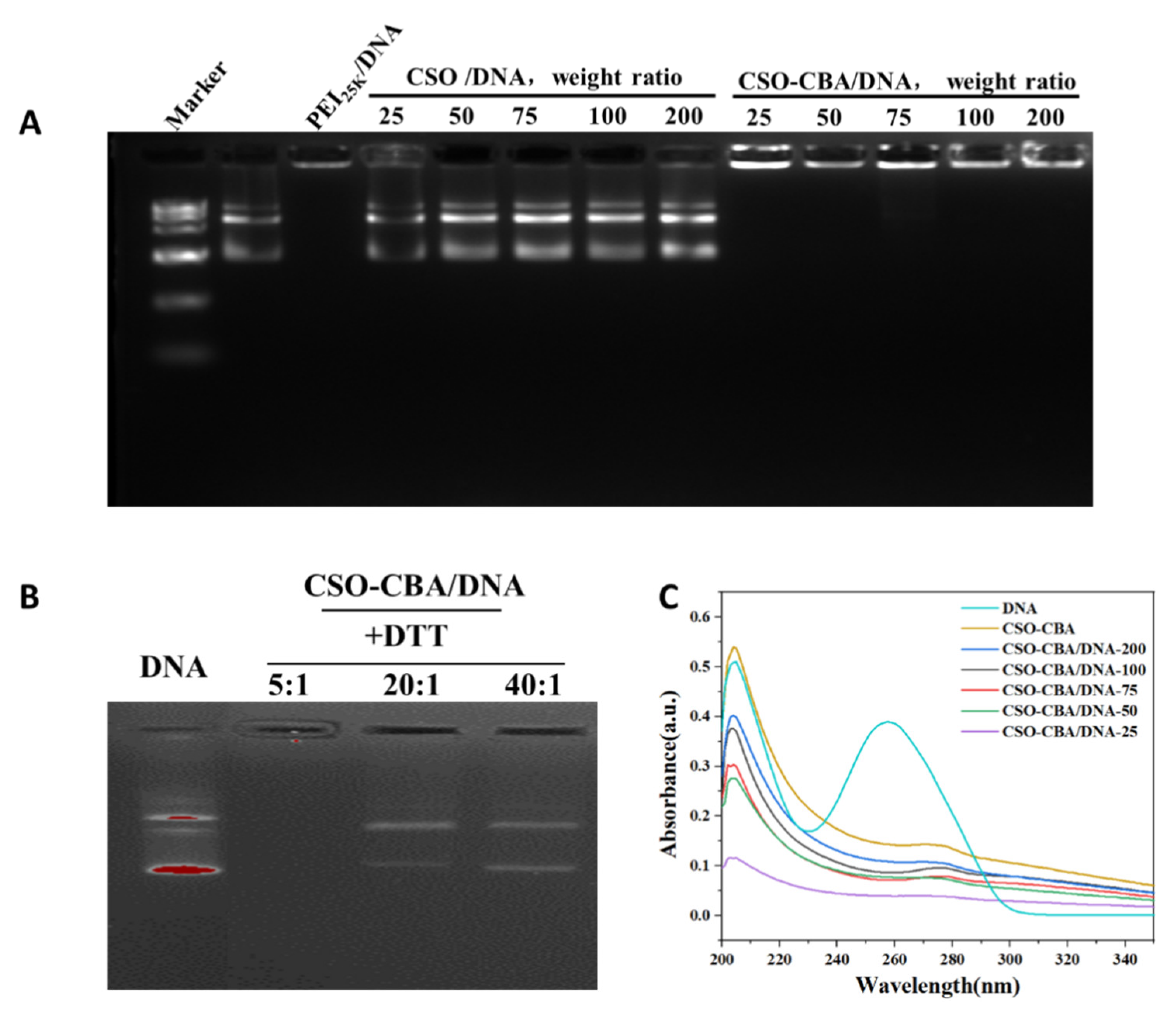 Jfb 13 00299 g002 Jfb 13 00299 g002