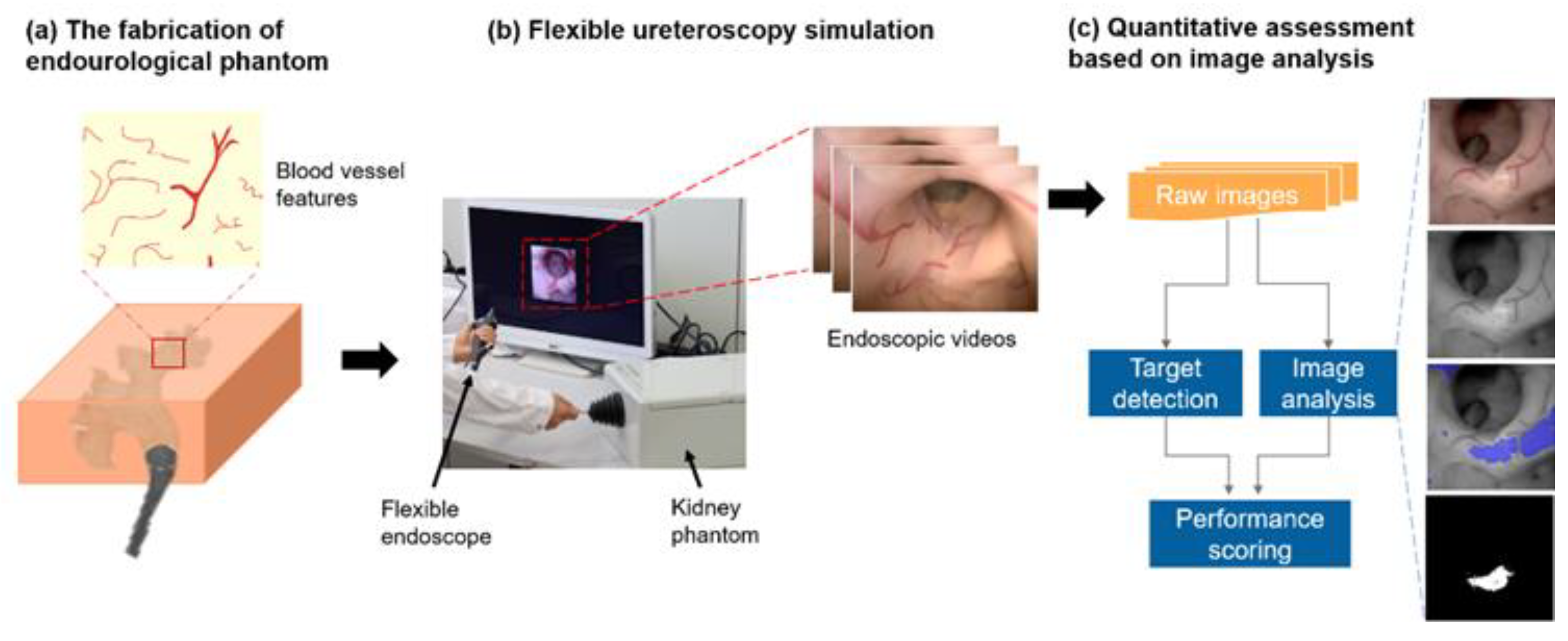 Jfb 13 00301 g003 Jfb 13 00301 g003