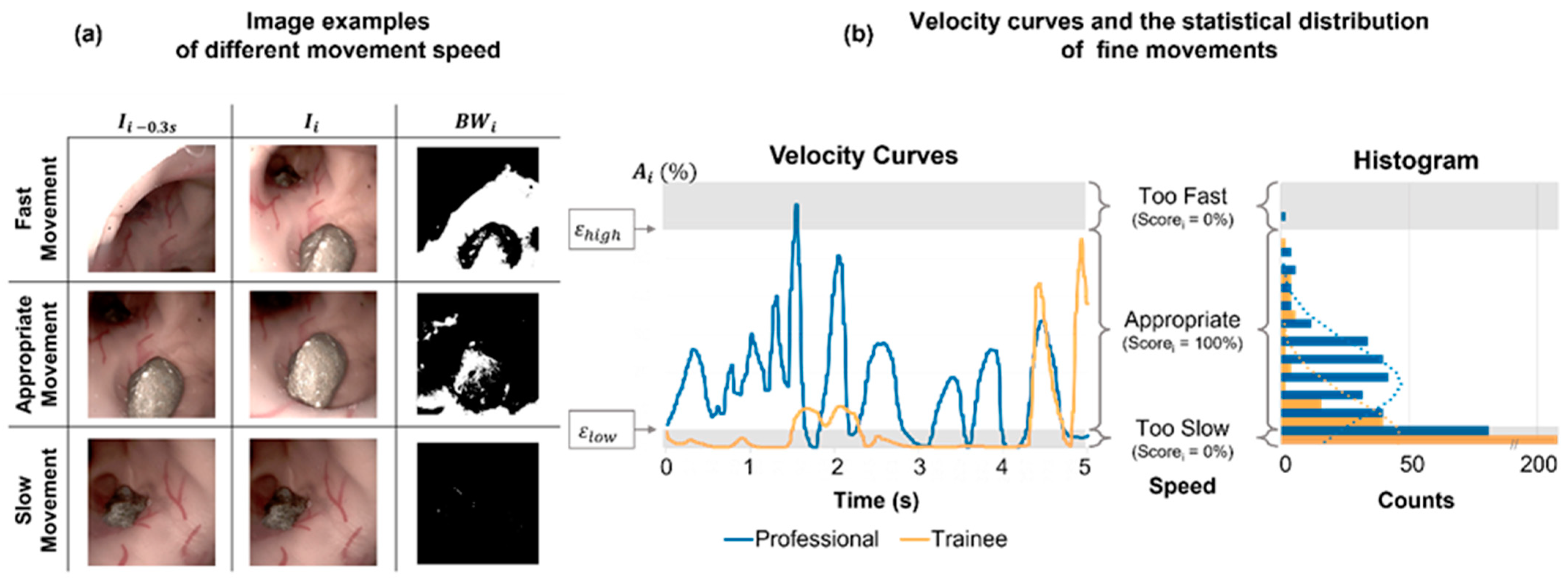 Jfb 13 00301 g004 Jfb 13 00301 g004