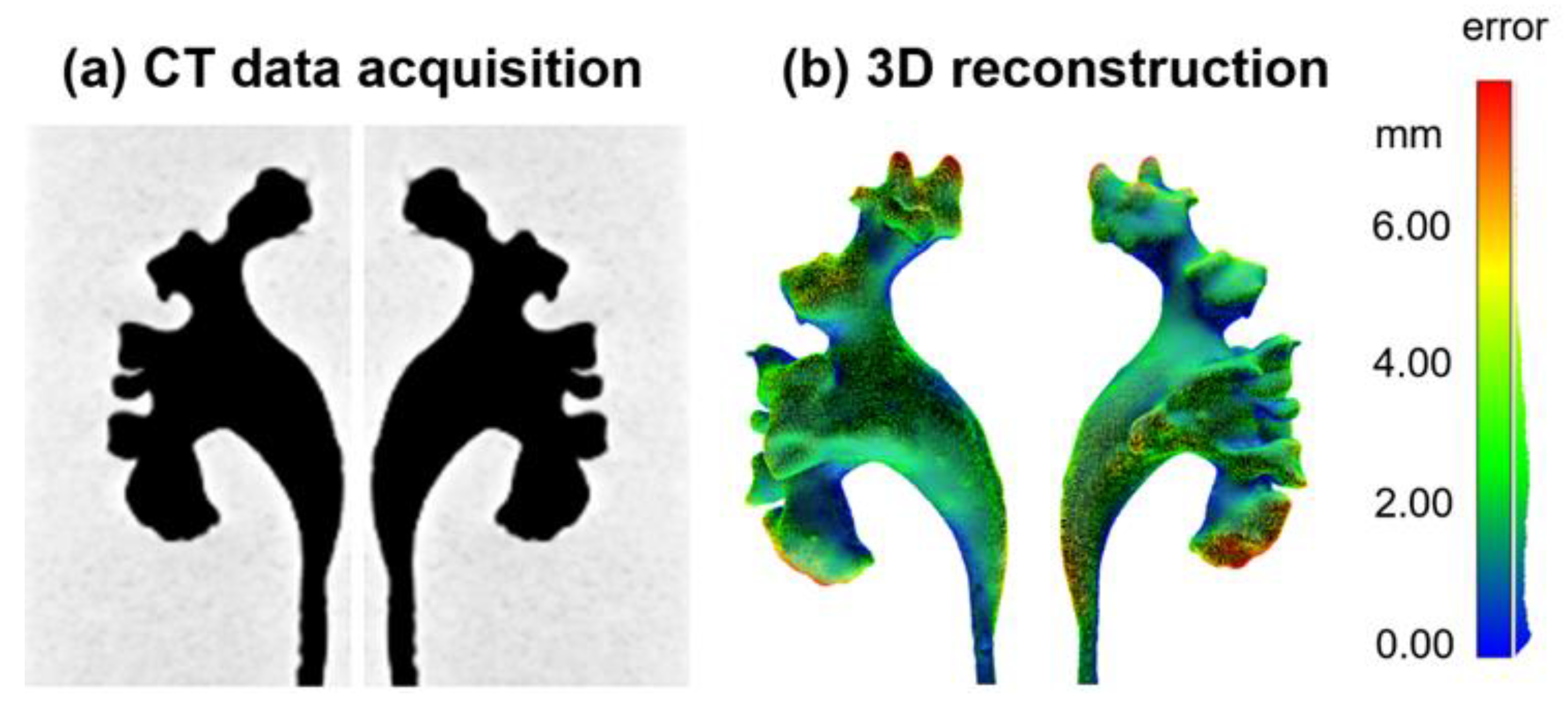 Jfb 13 00301 g005 Jfb 13 00301 g005