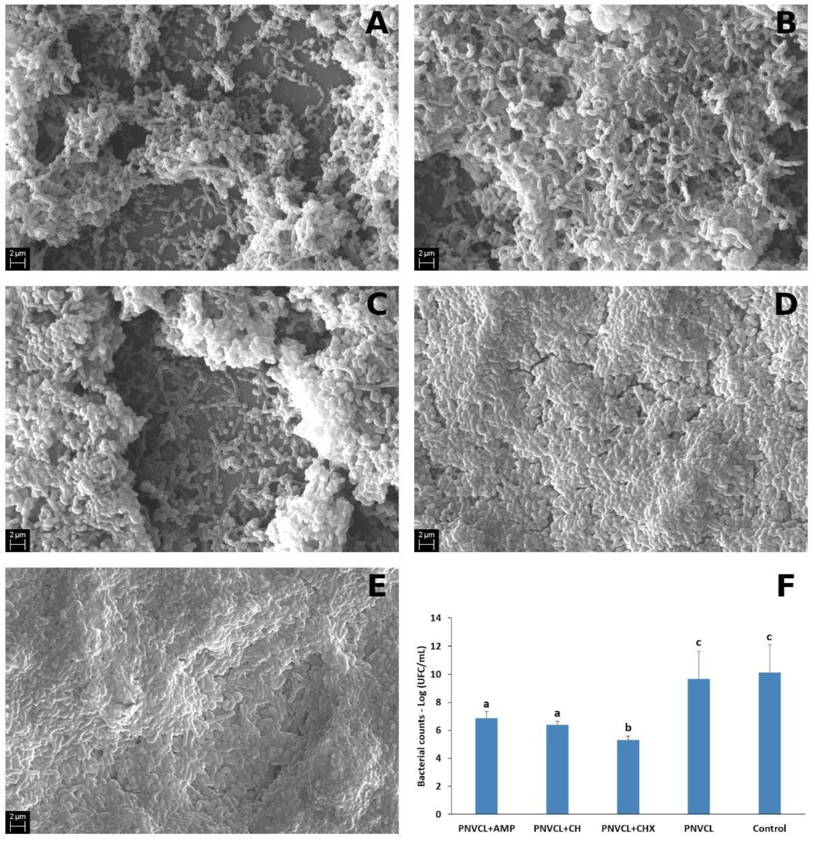Jfb 13 00305 g004 Jfb 13 00305 g004